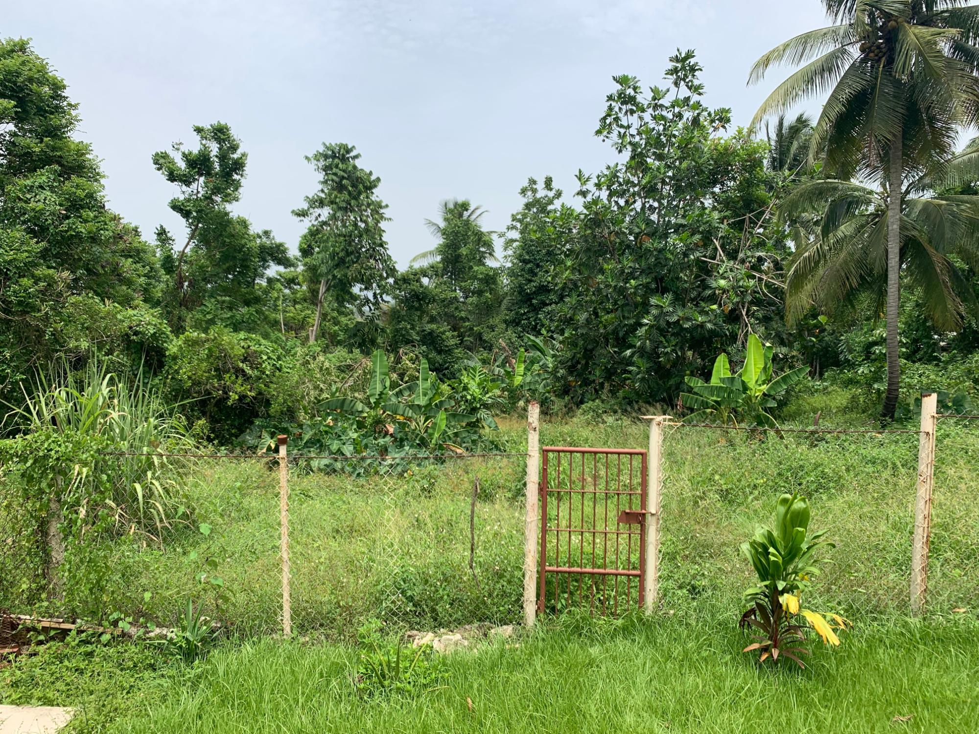 Property Image 13