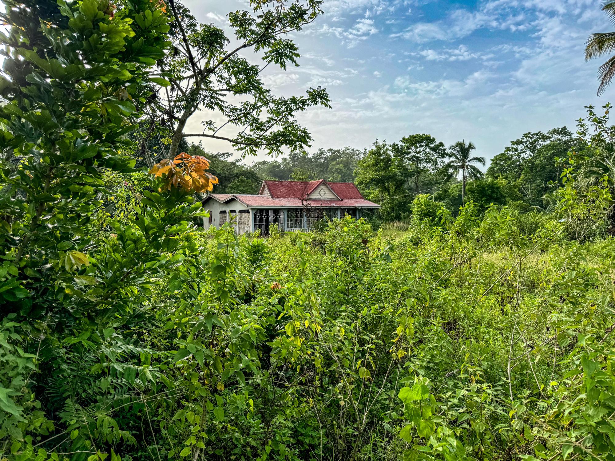 Property Image 18