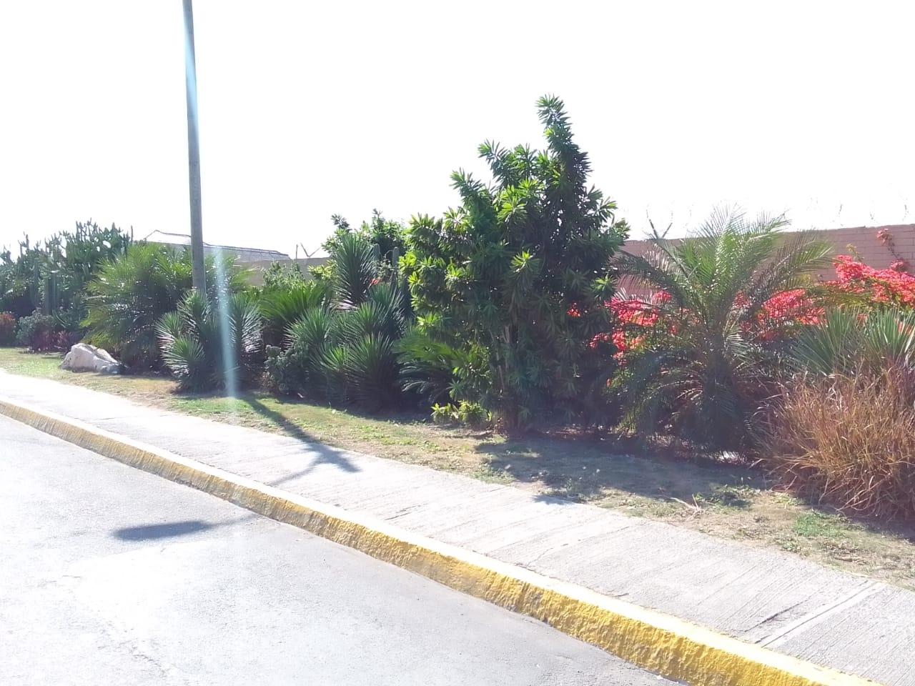 Property Image 64