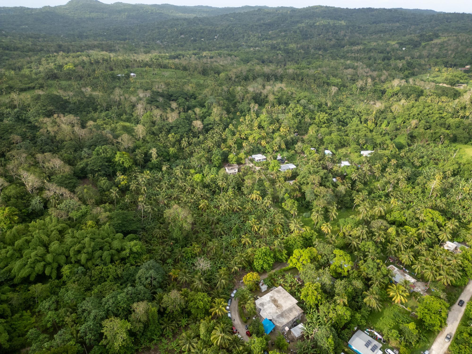 Property Image 12