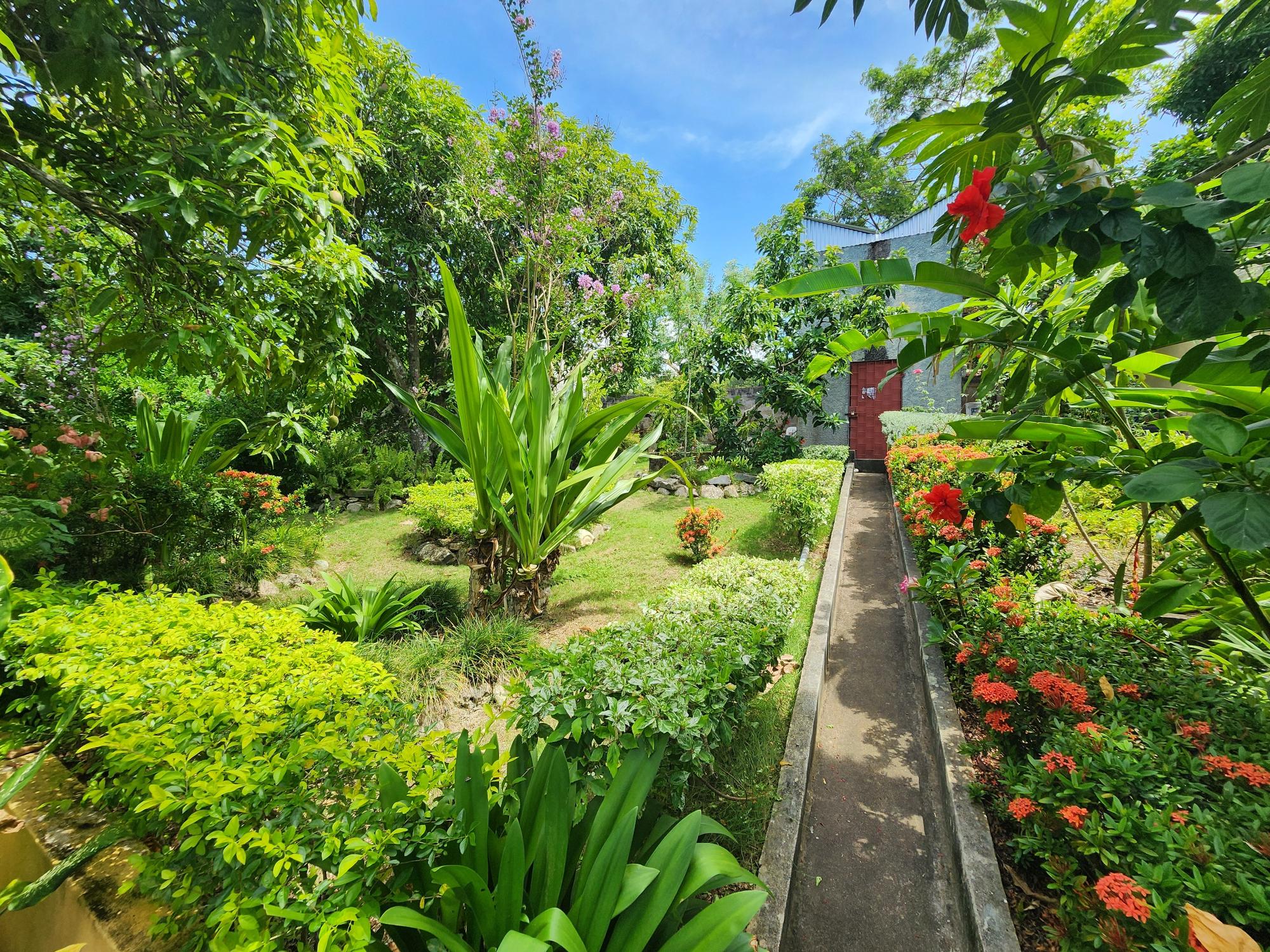 Property Image 52