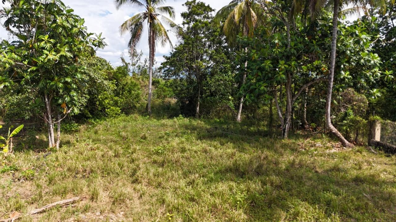 Property Image 25