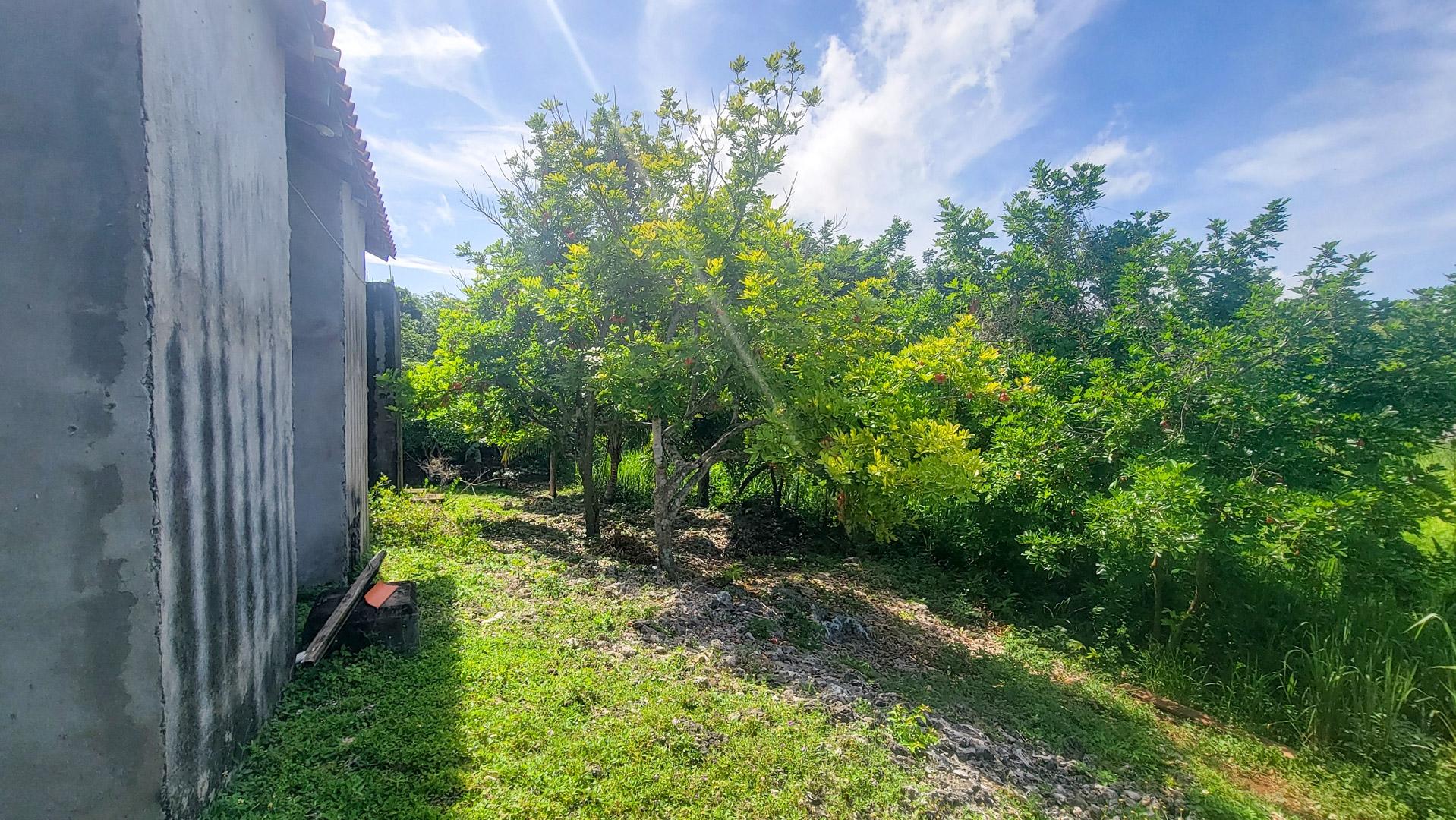 Property Image 16