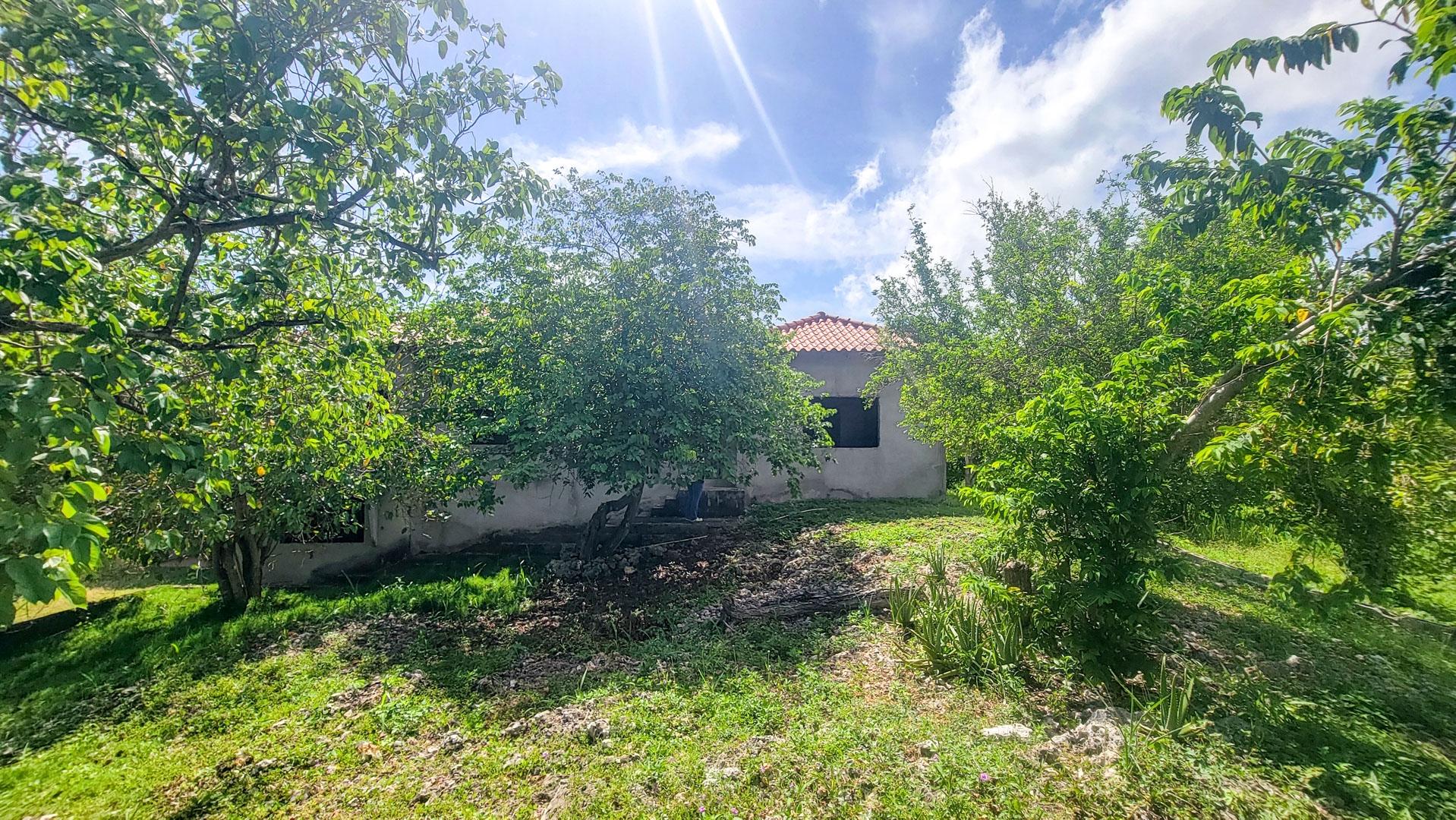 Property Image 42
