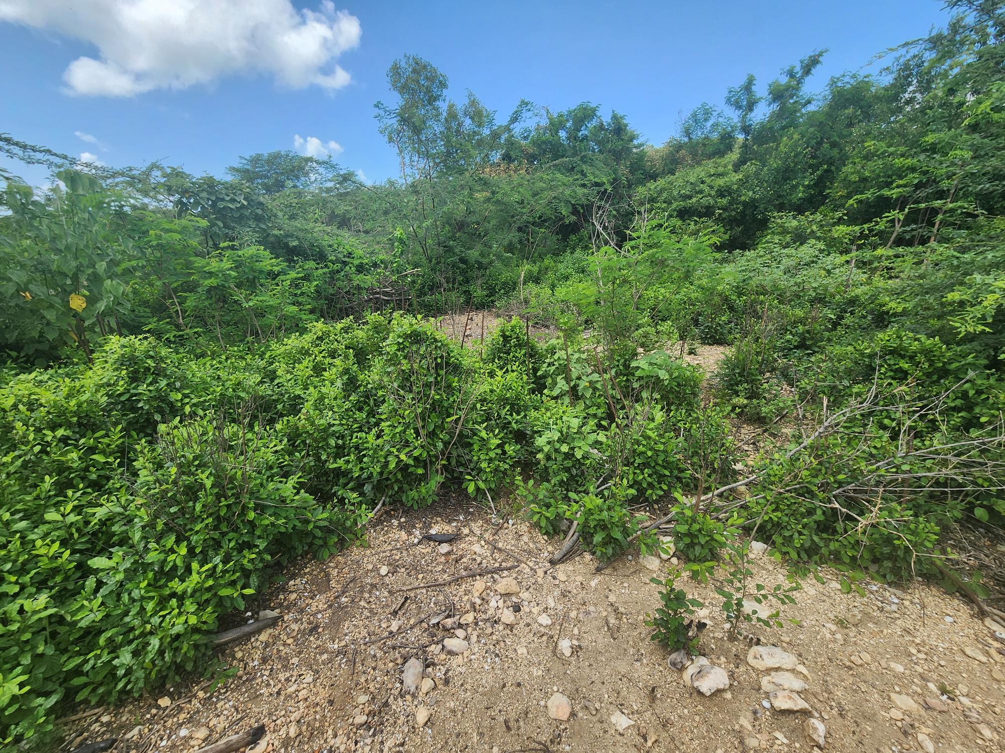 Property Image 22