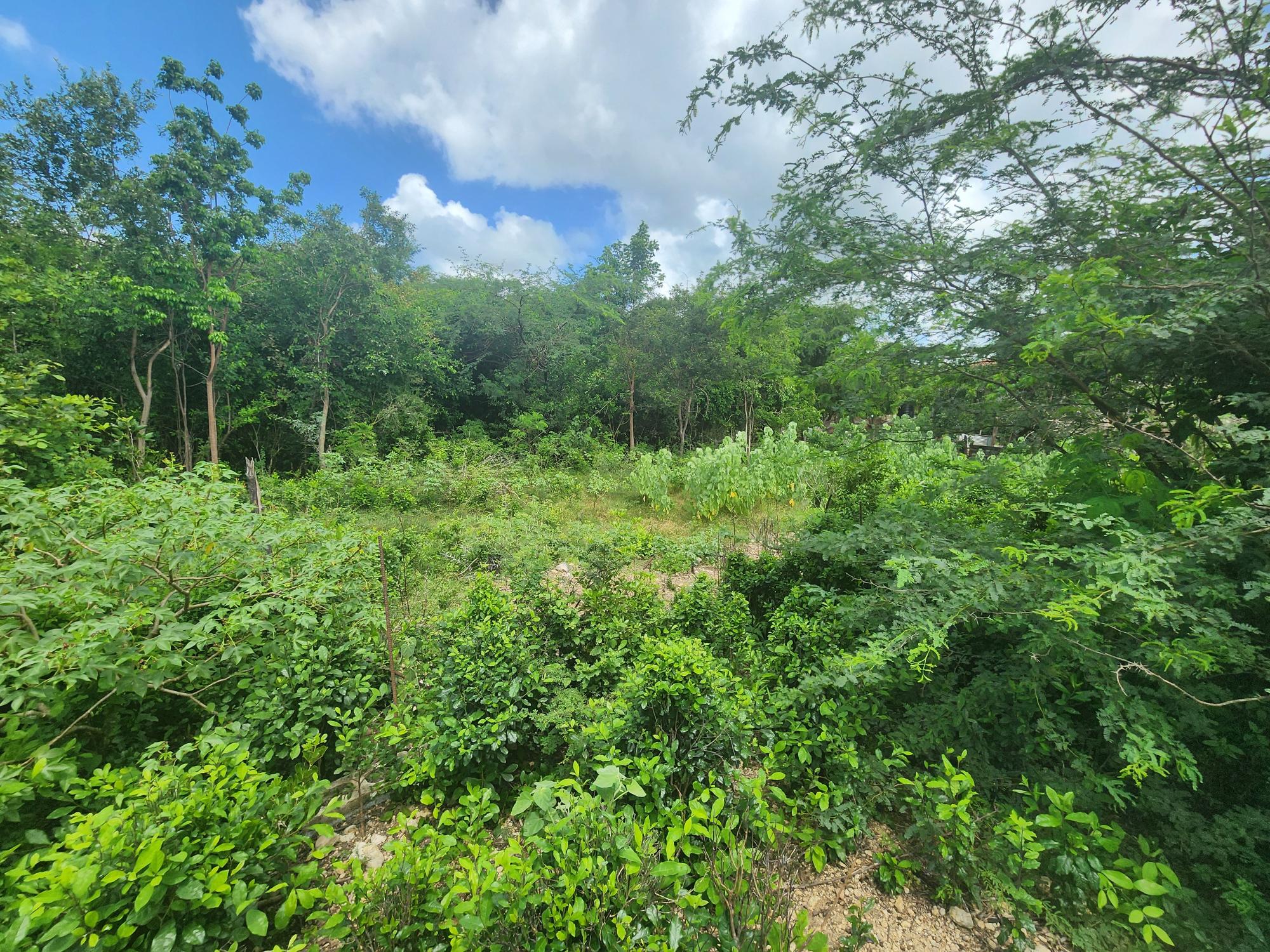 Property Image 23