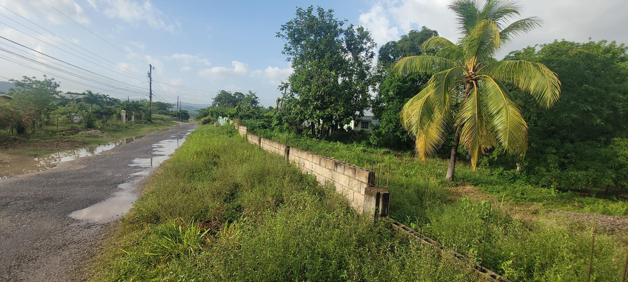 Property Image 46