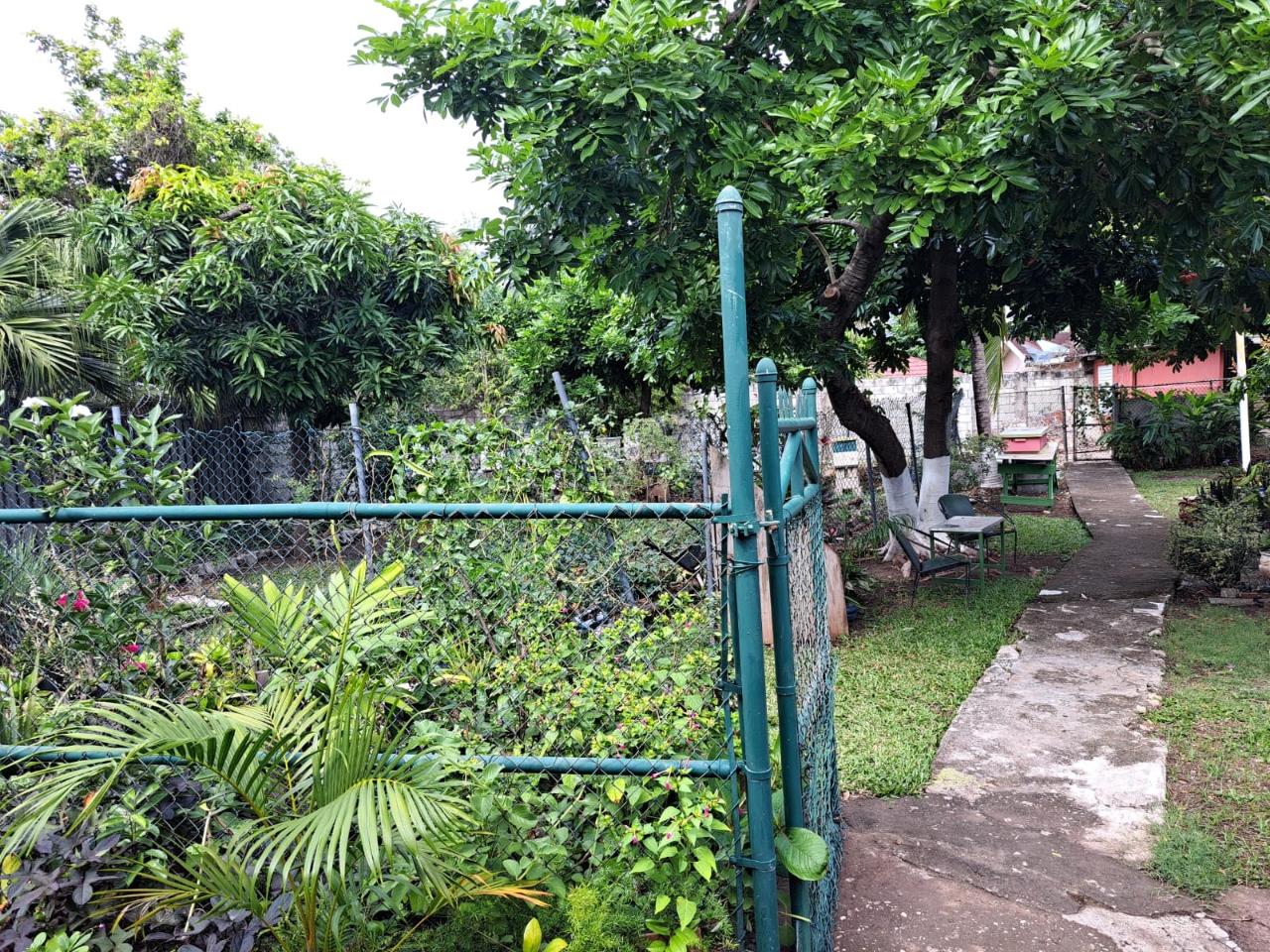 Property Image 43