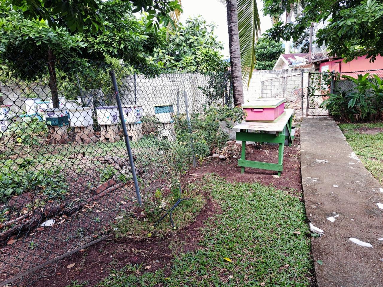 Property Image 61