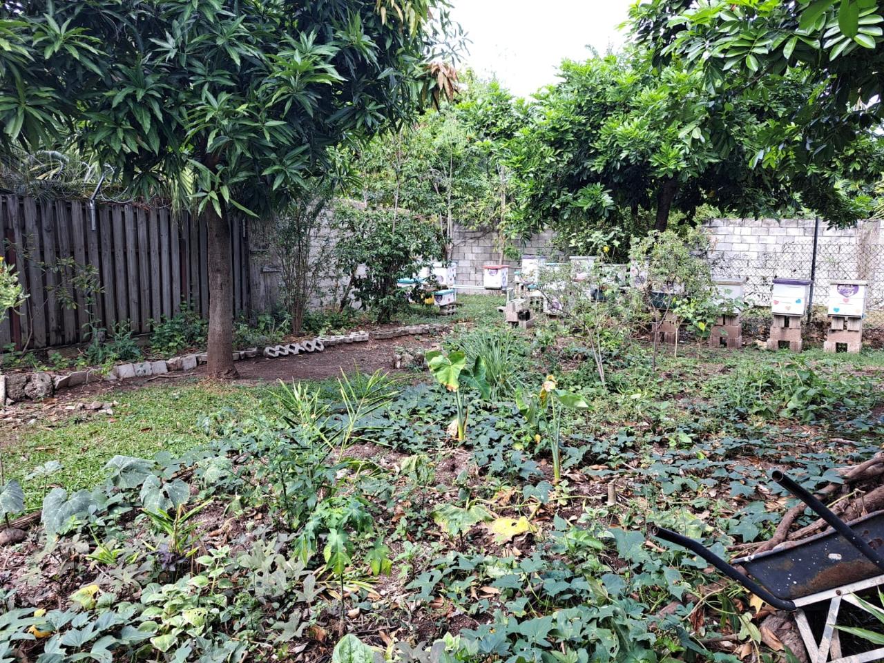 Property Image 67
