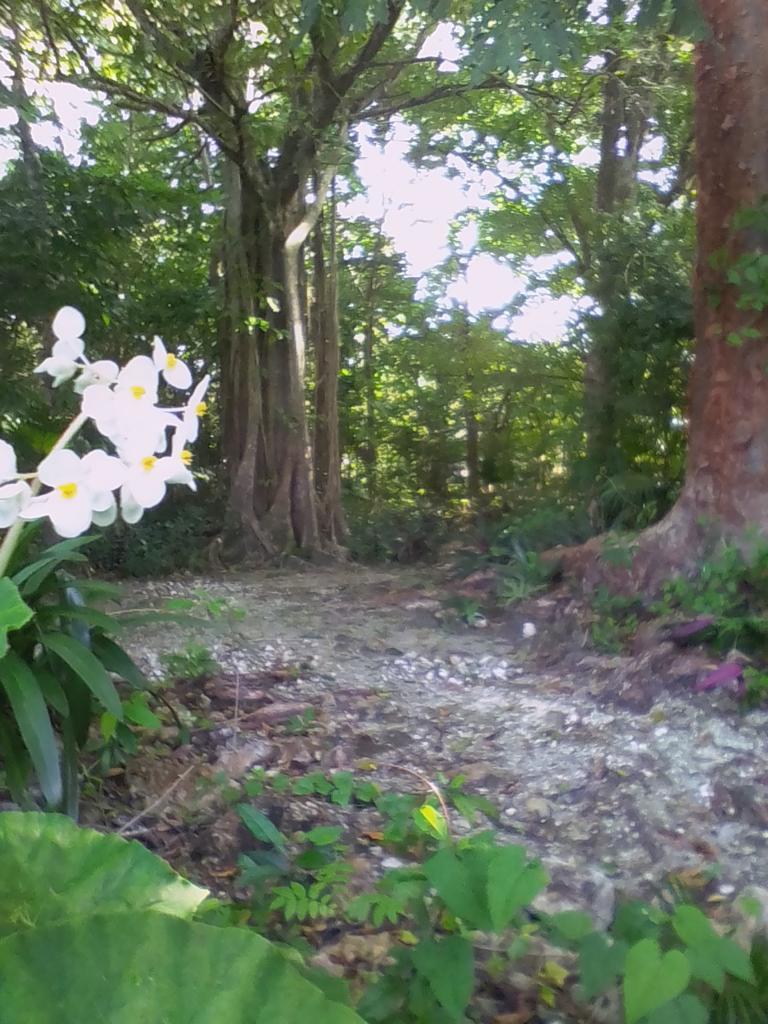 Property Image 22