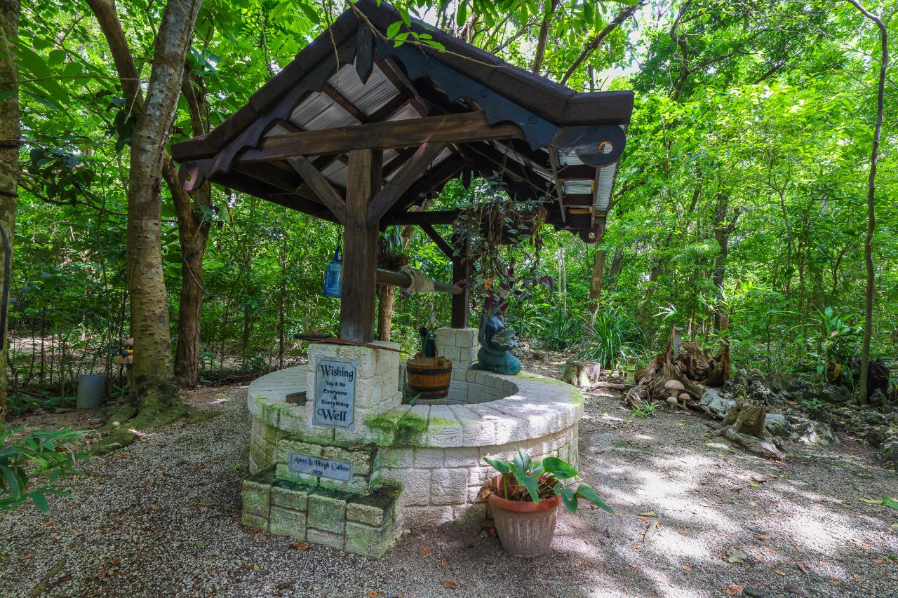 Property Image 23
