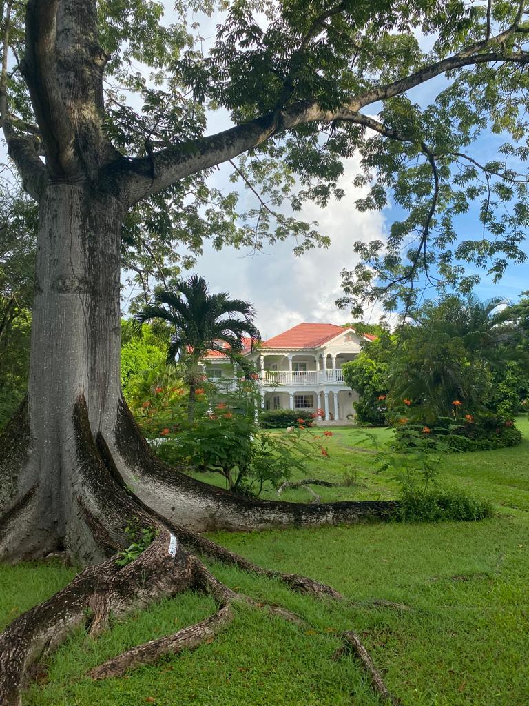 Property Image 43