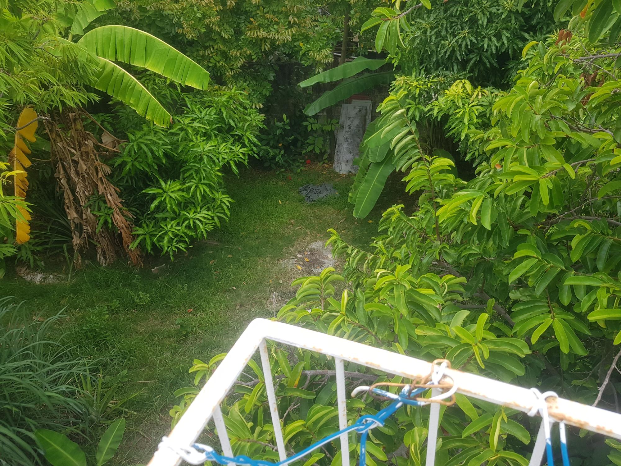 Property Image 42