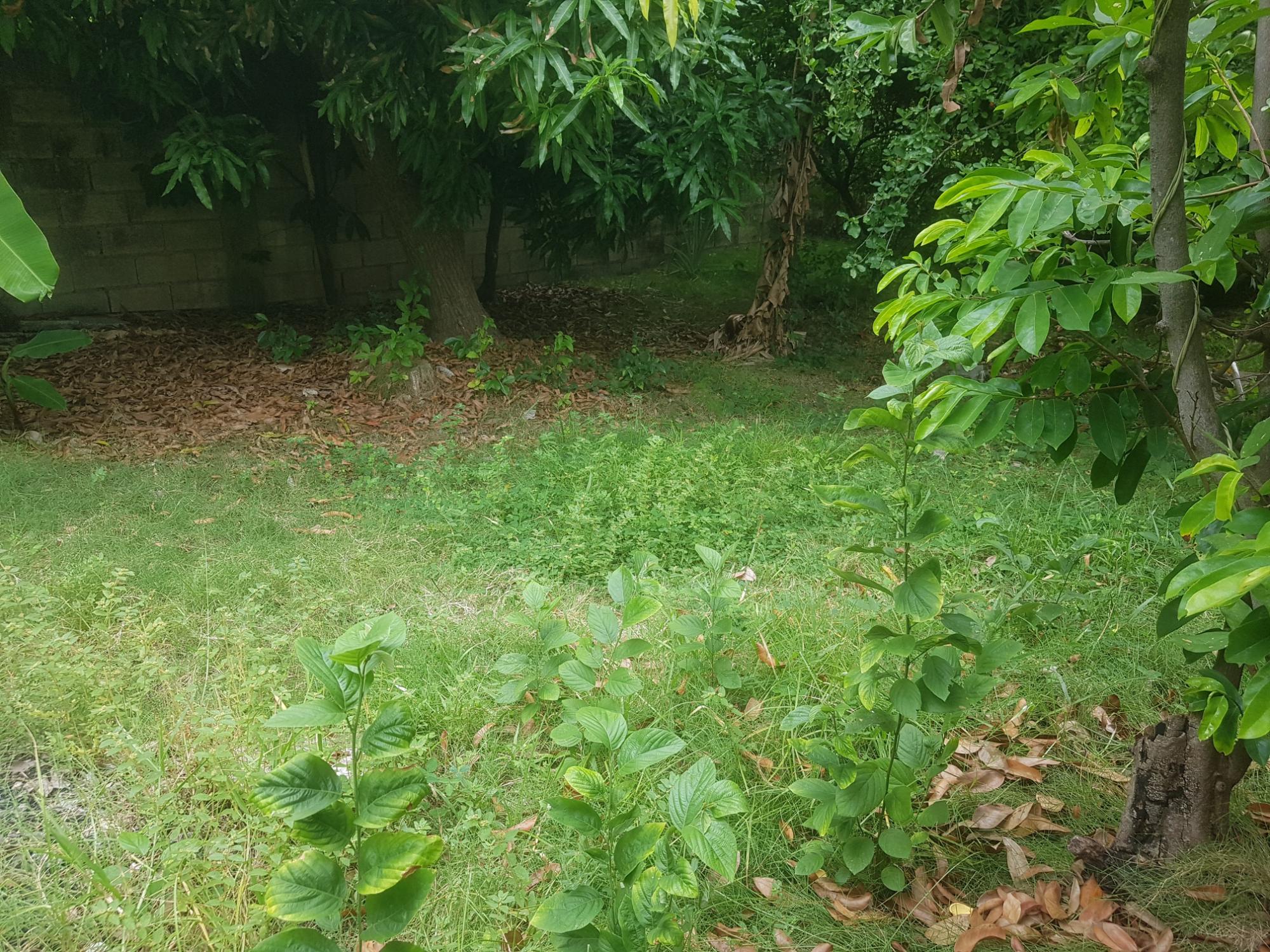Property Image 43