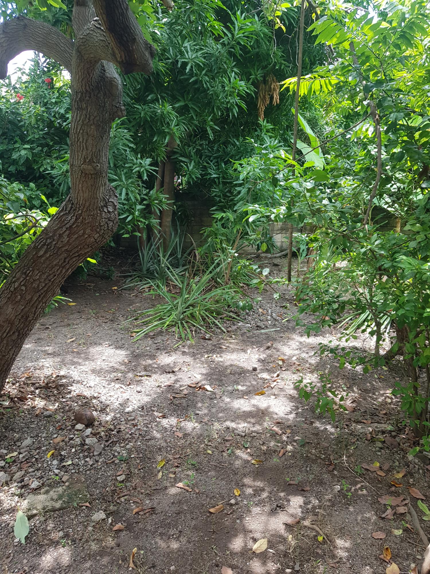Property Image 45