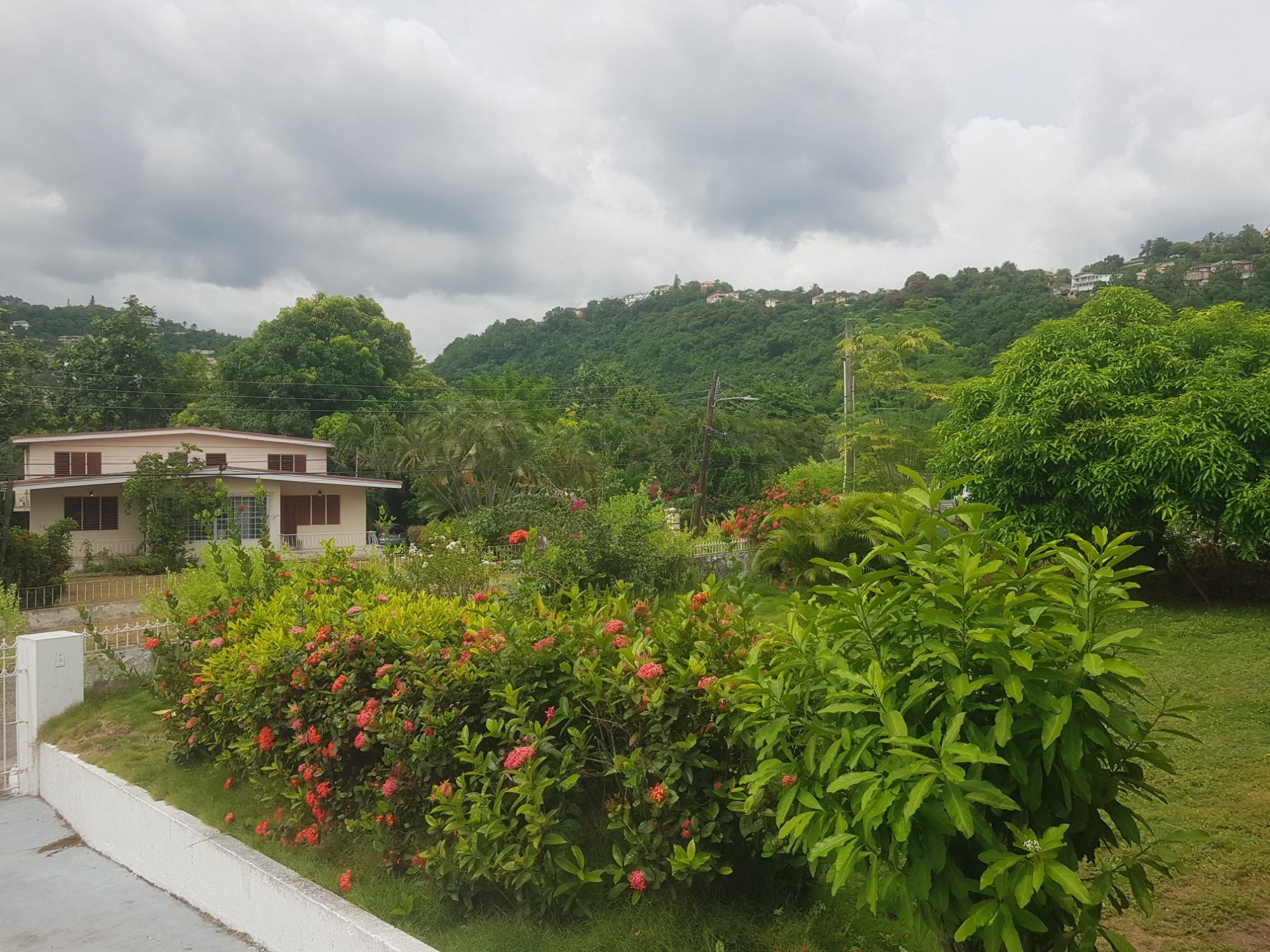 Property Image 48