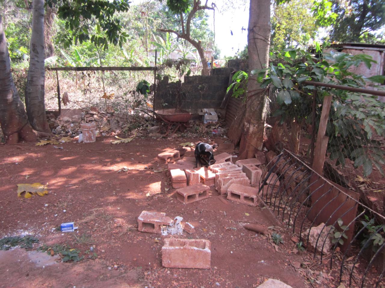 Property Image 5