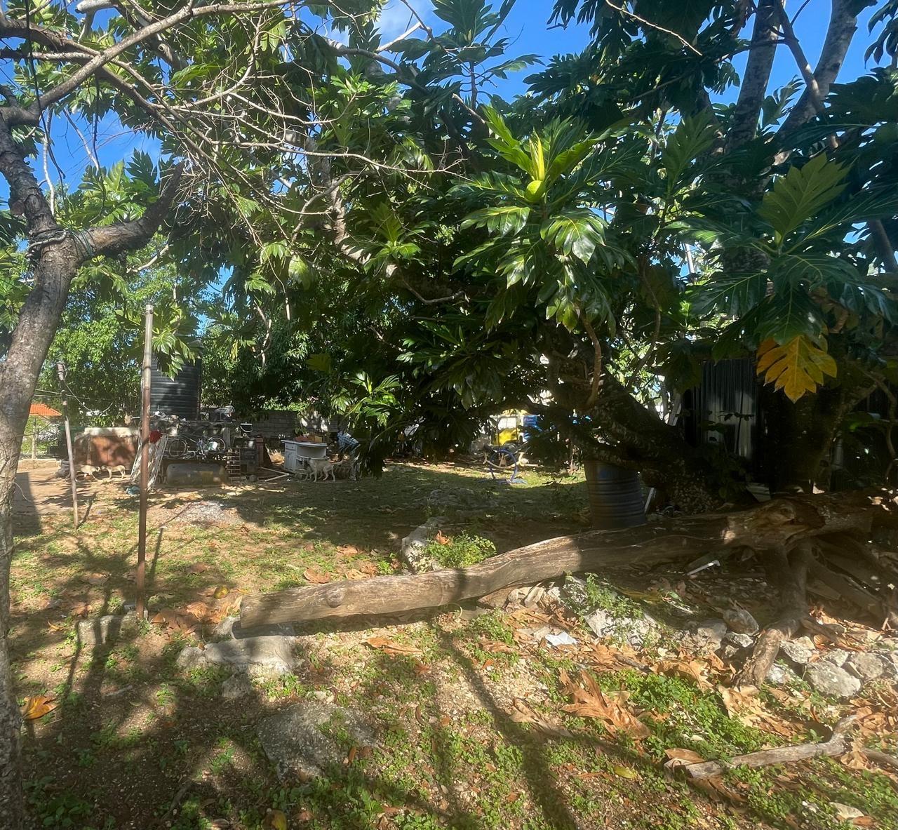 Property Image 13