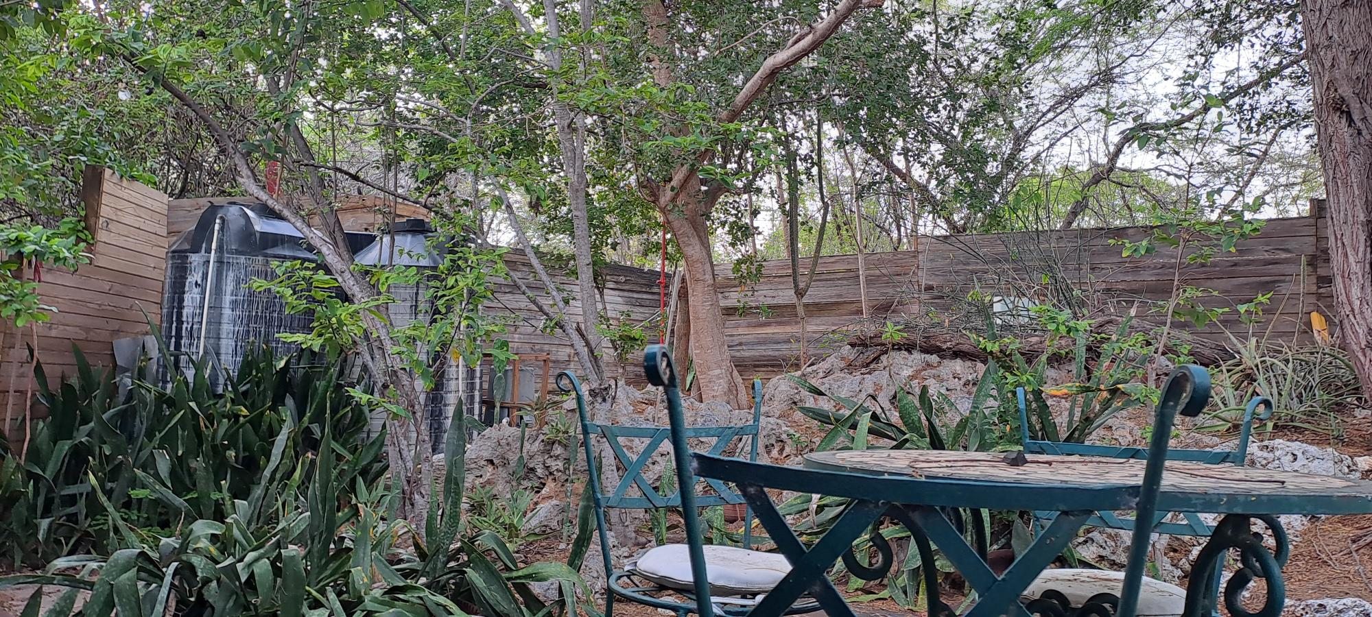 Property Image 25