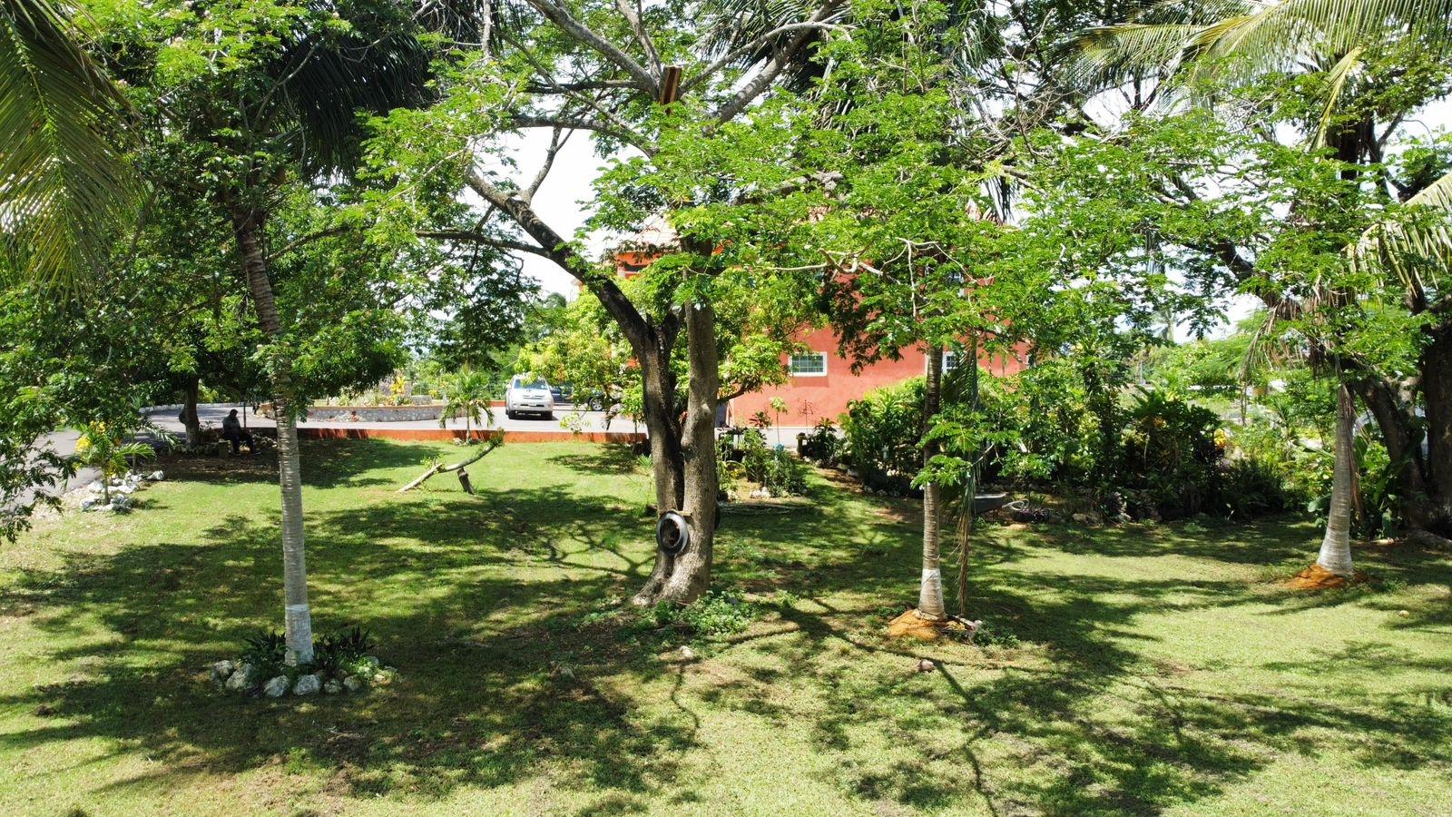 Property Image 16