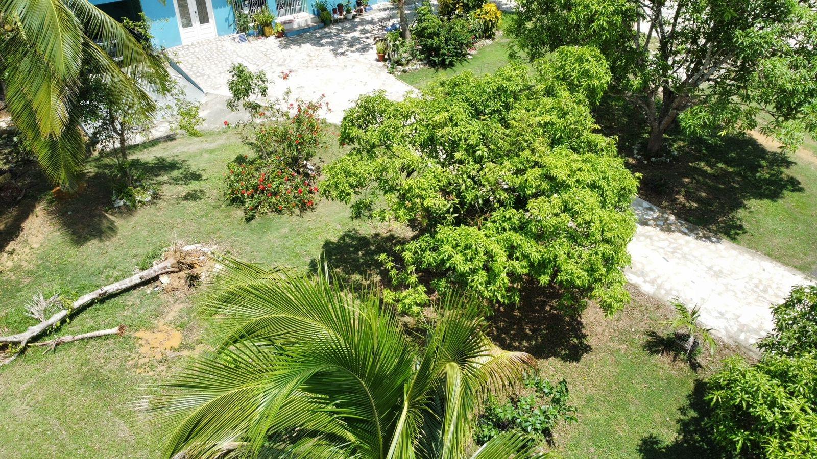 Property Image 57