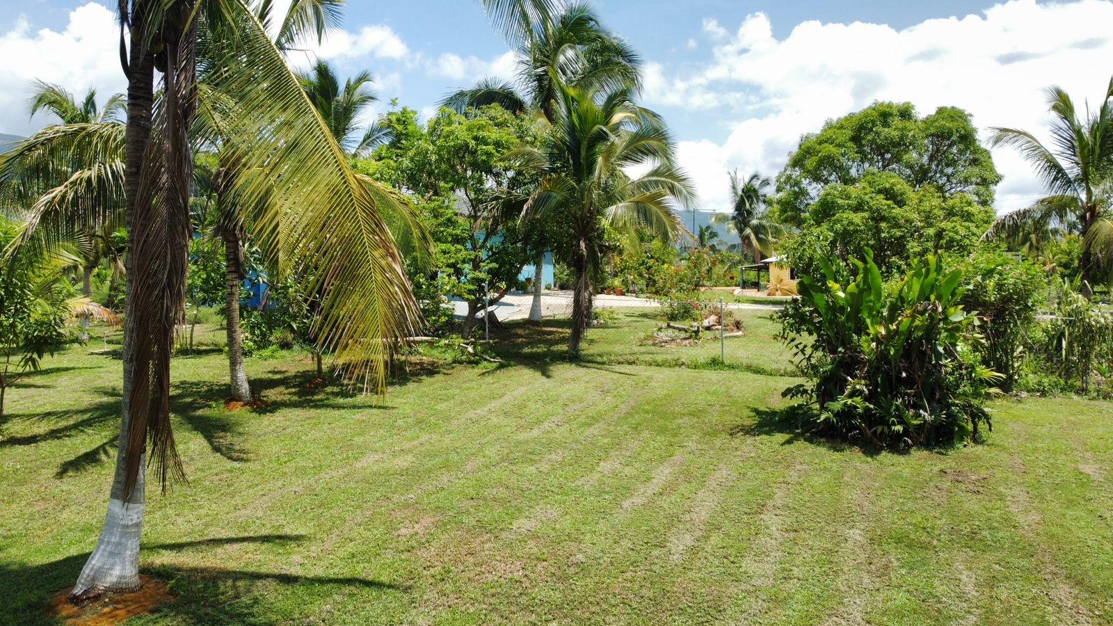 Property Image 59