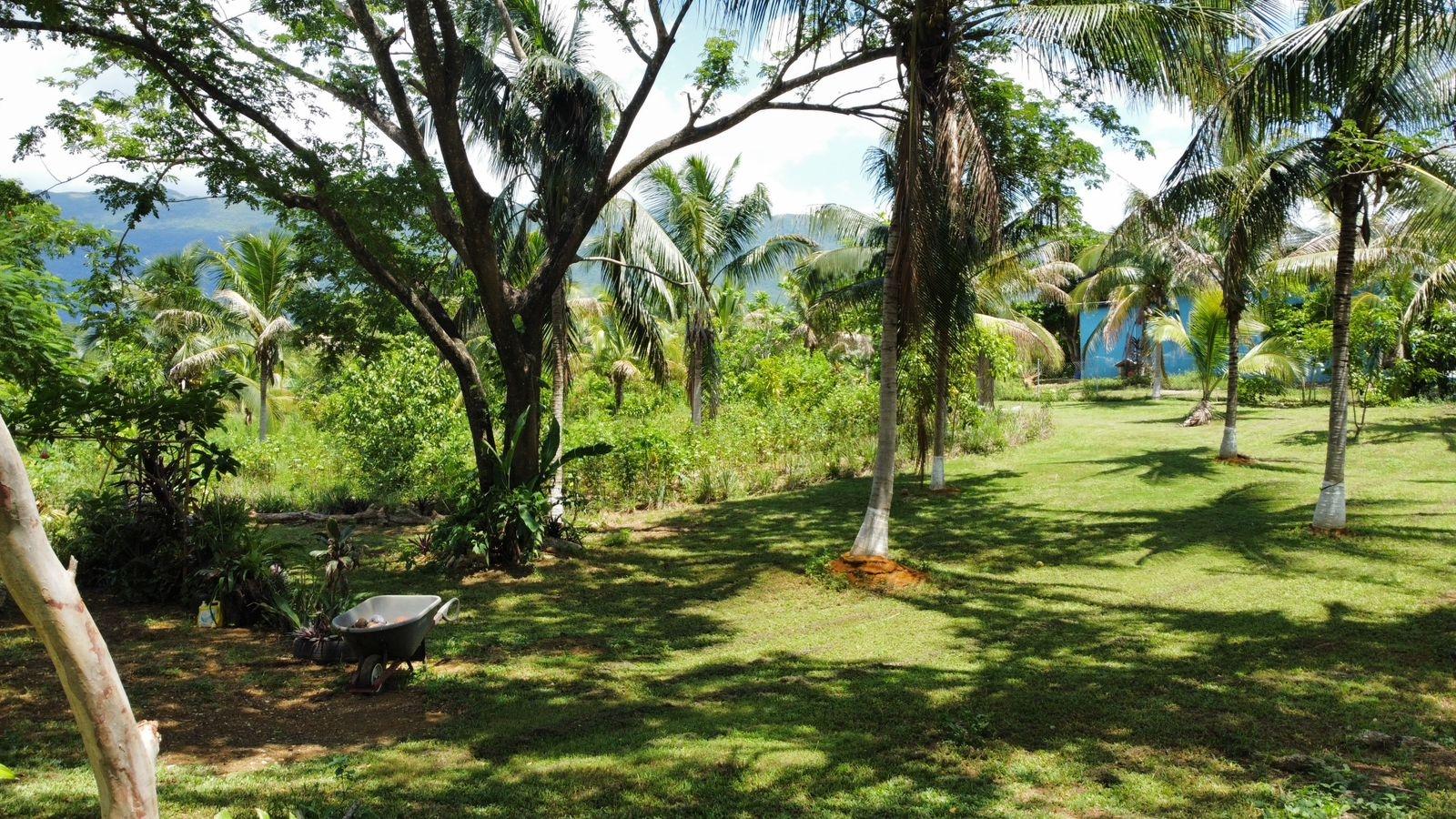 Property Image 60