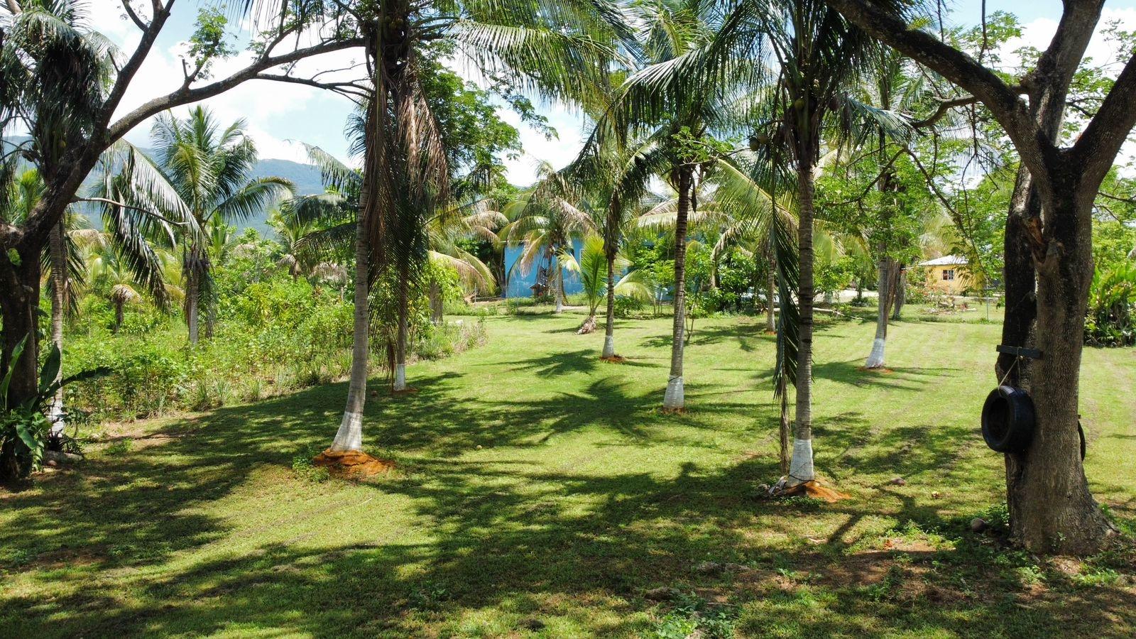 Property Image 61