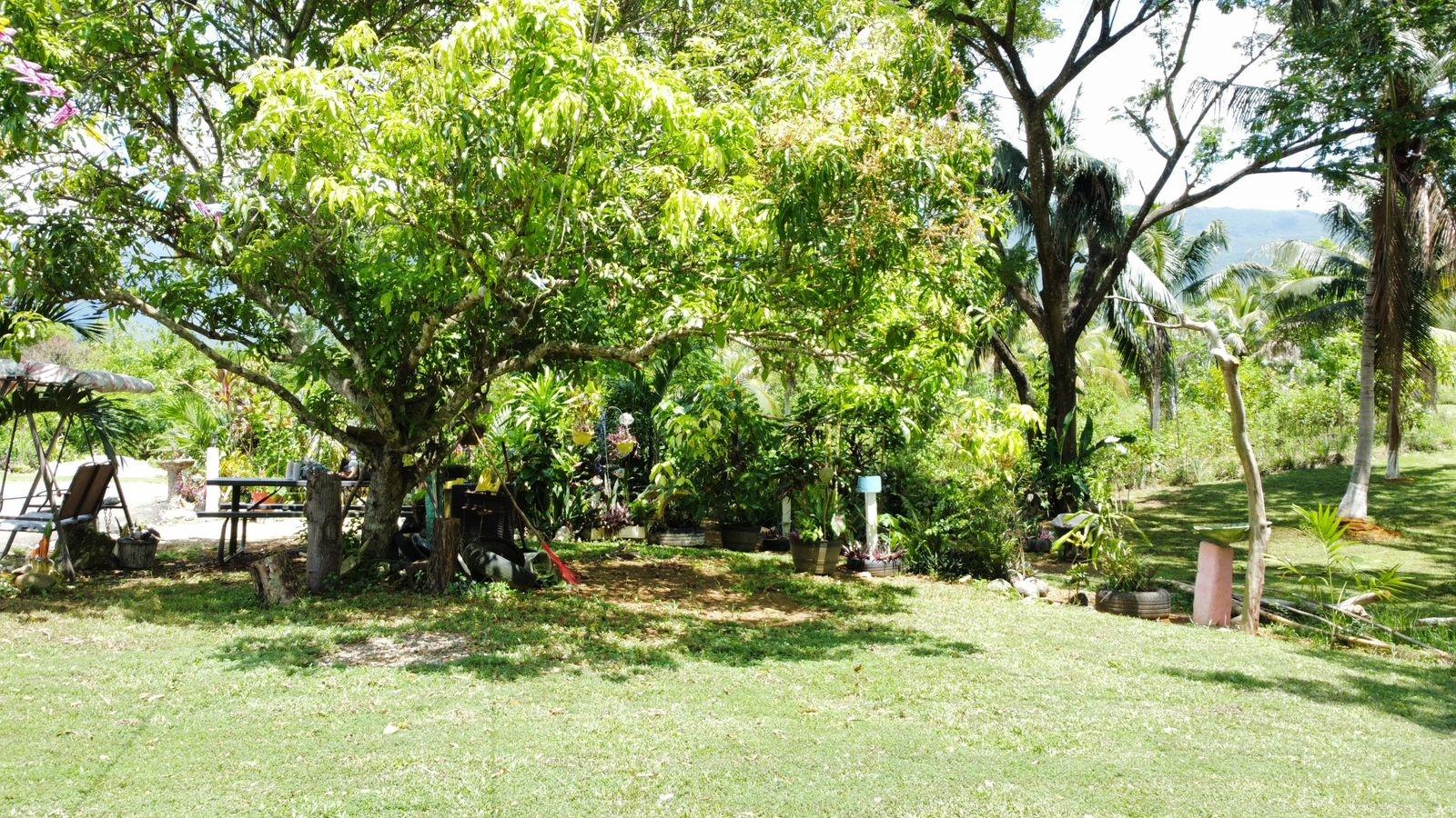 Property Image 62