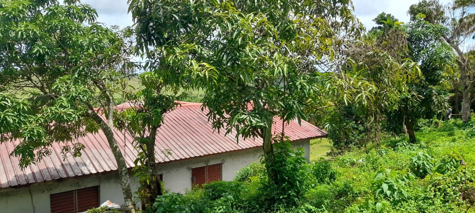 Property Image 20