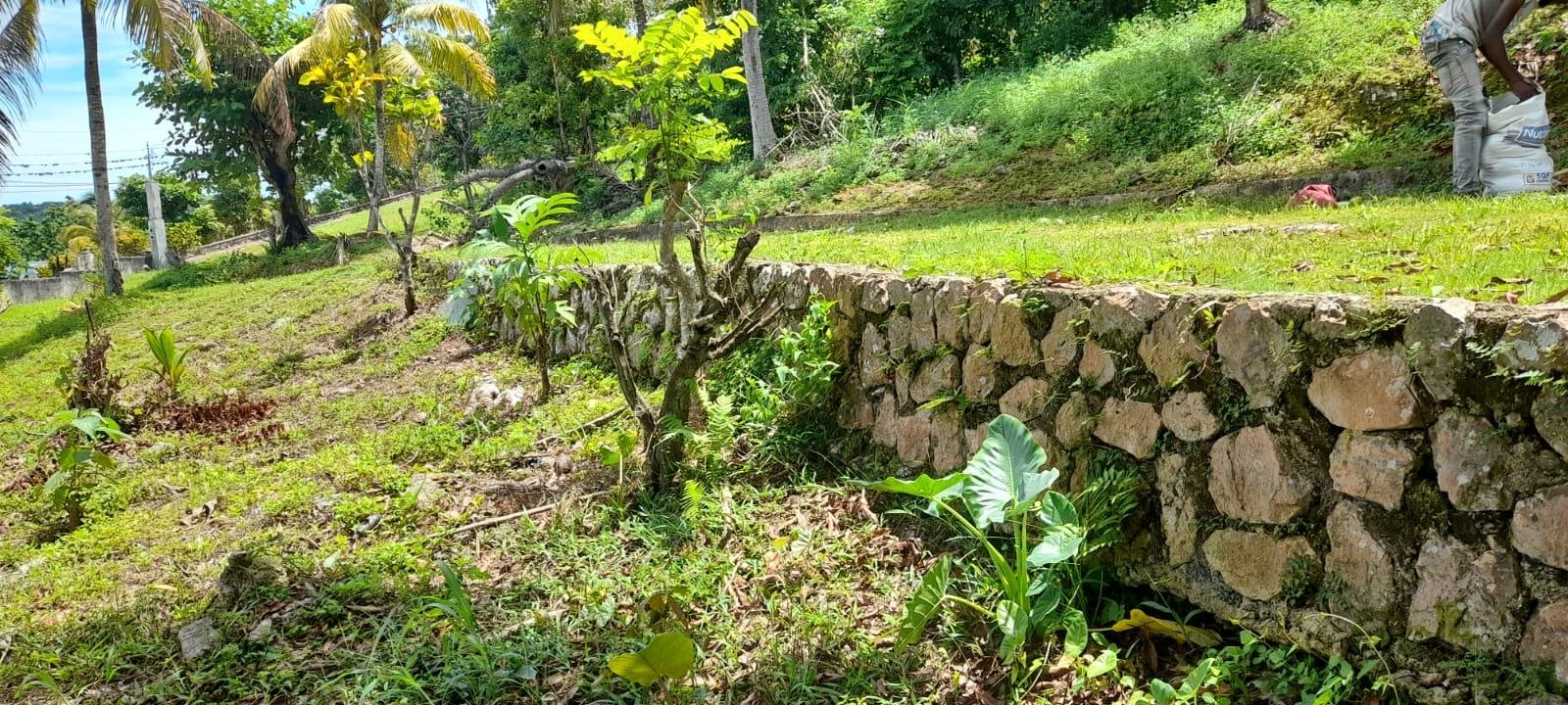 Property Image 50