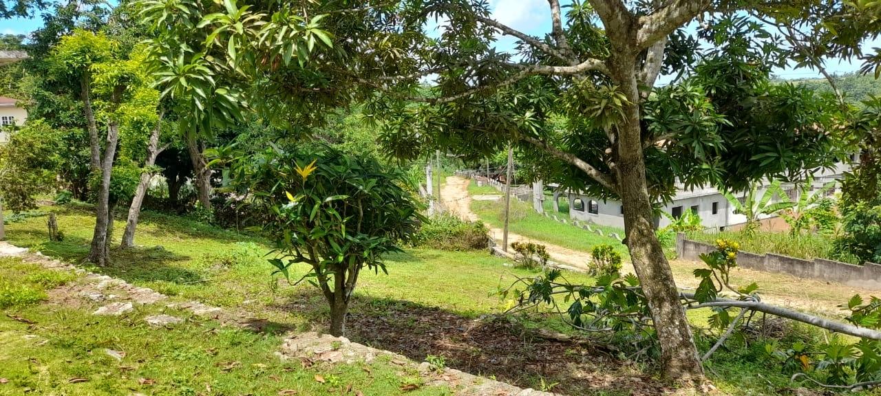 Property Image 52