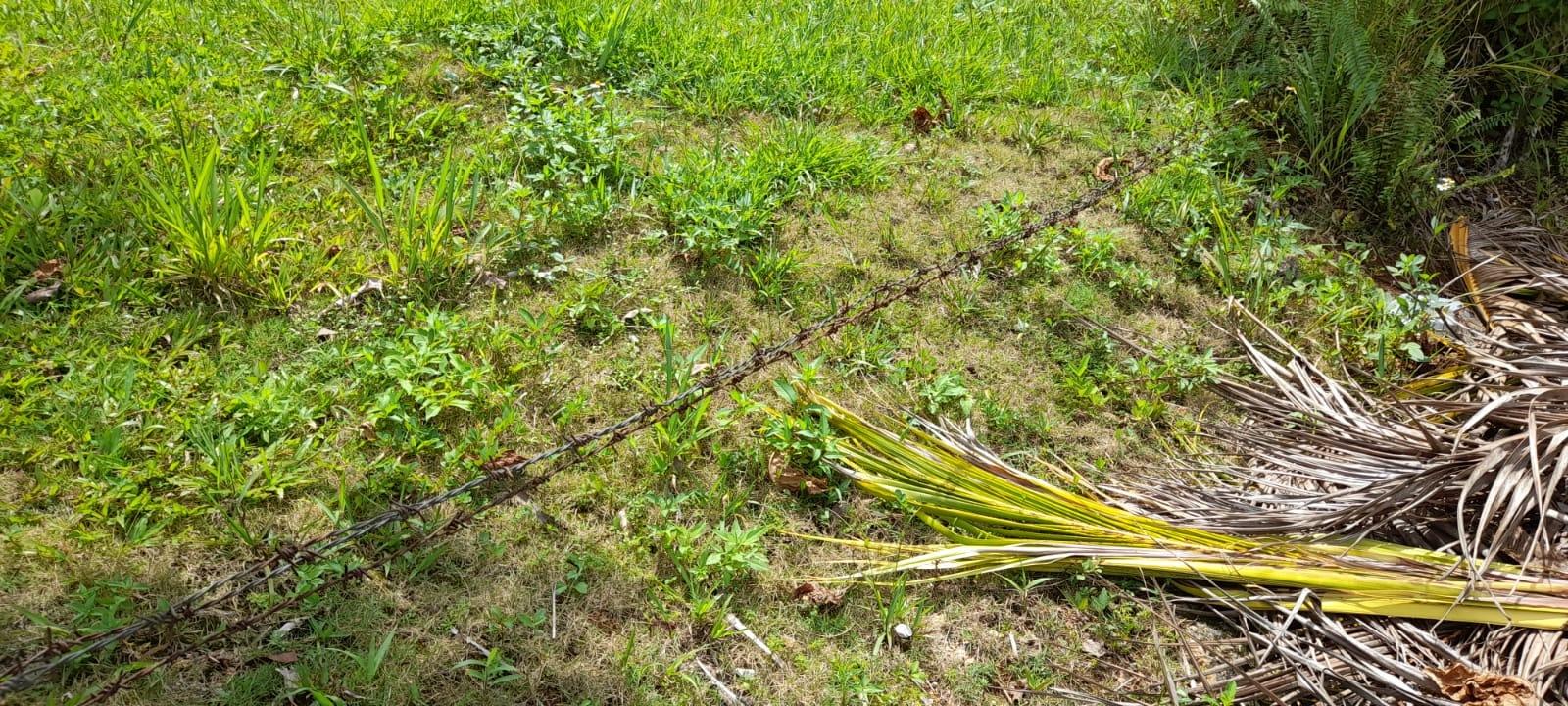 Property Image 58