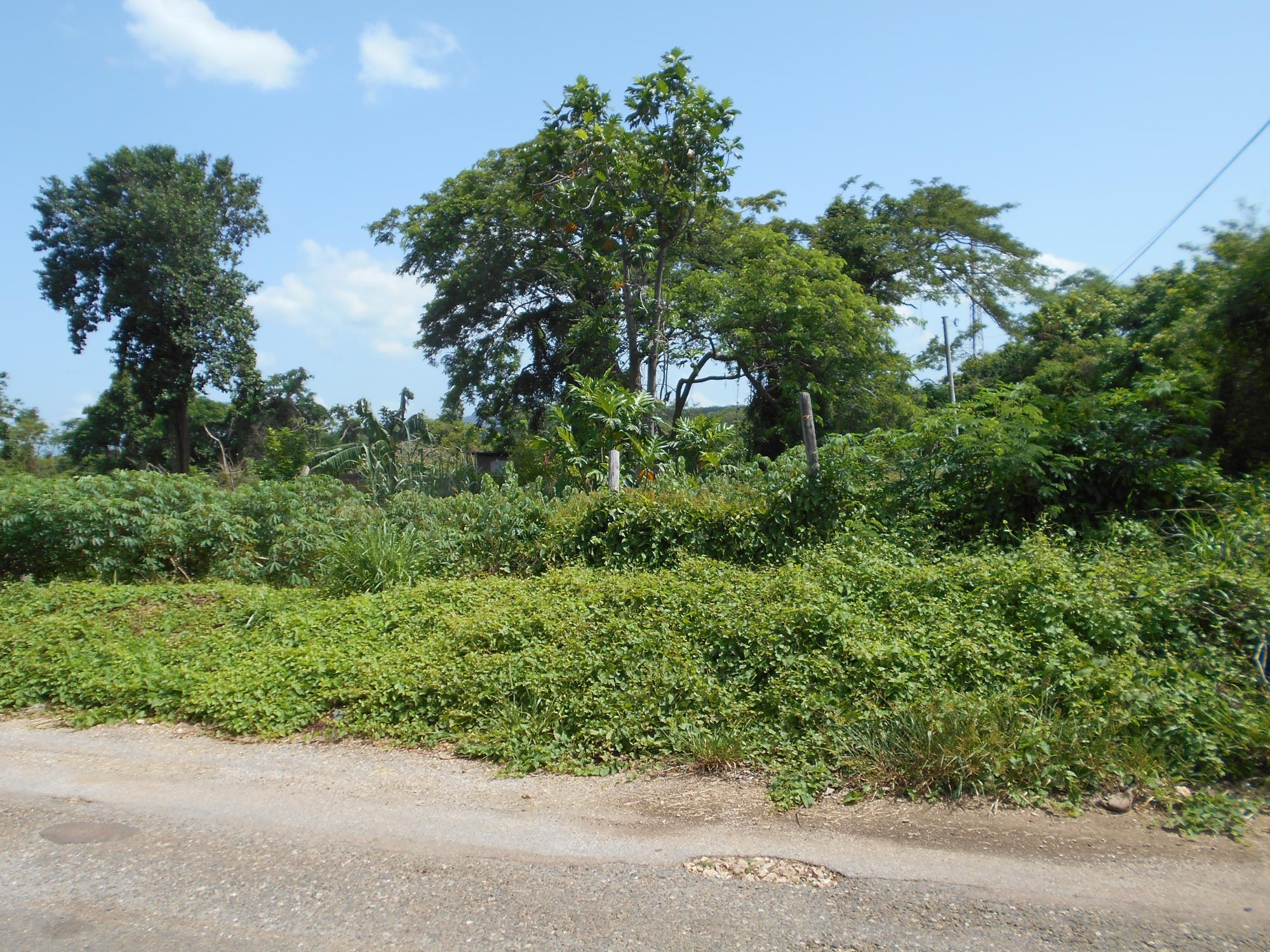 Property Image 4