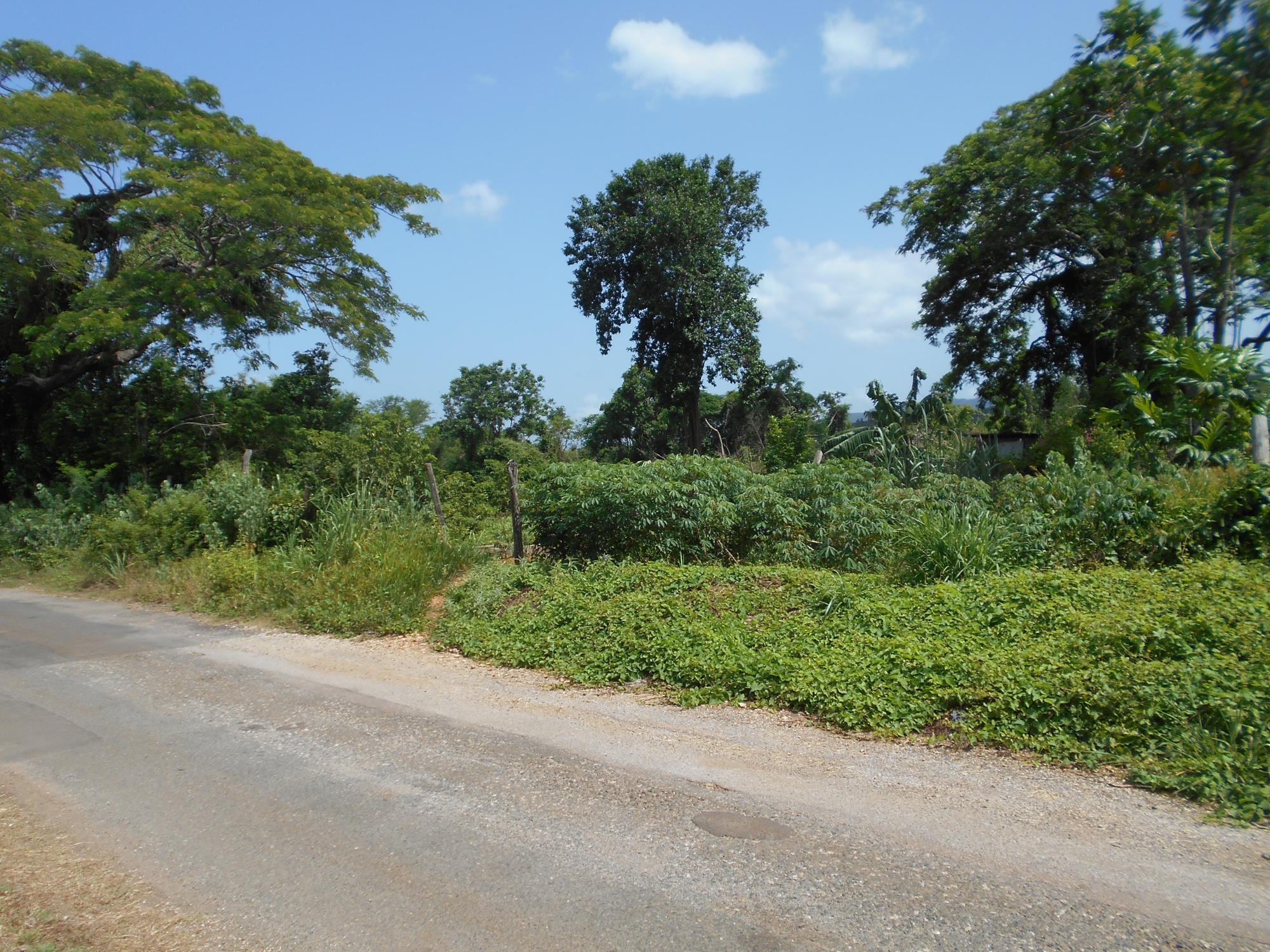 Property Image 9