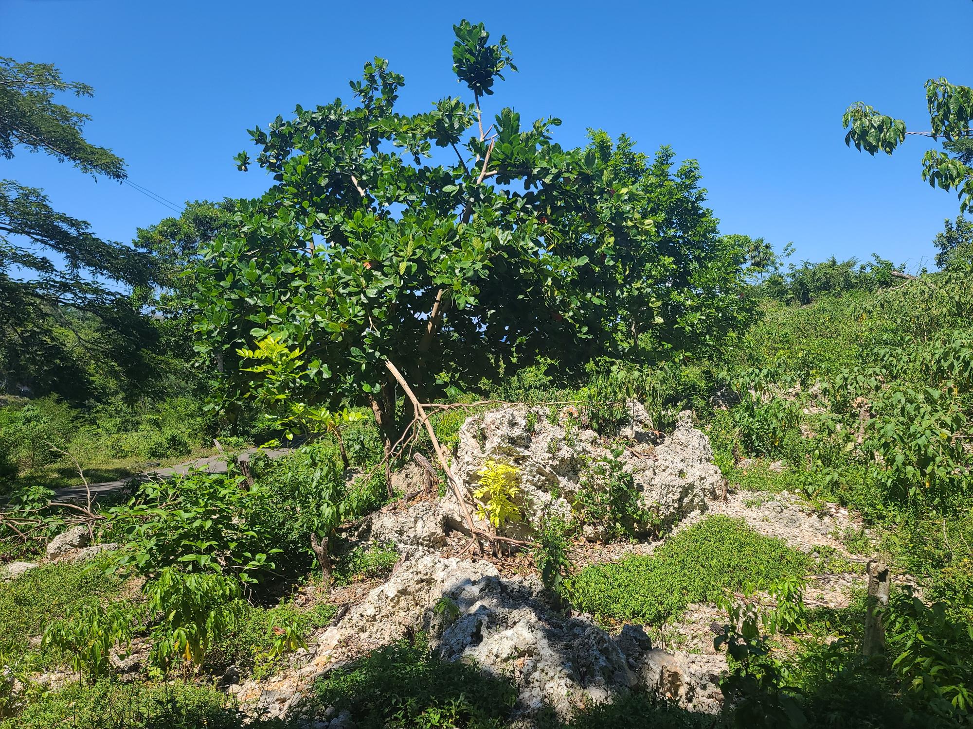 Property Image 17