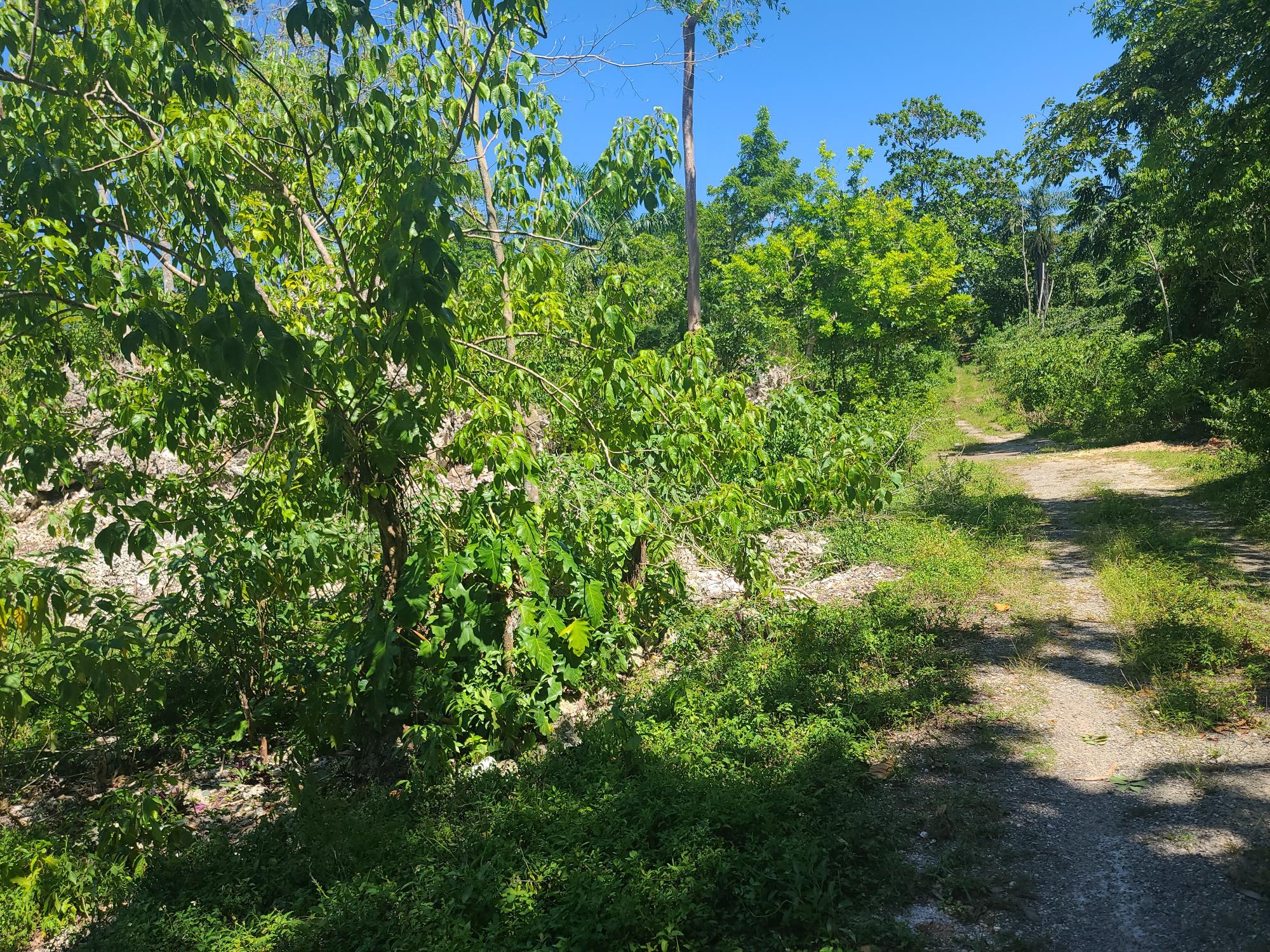 Property Image 18