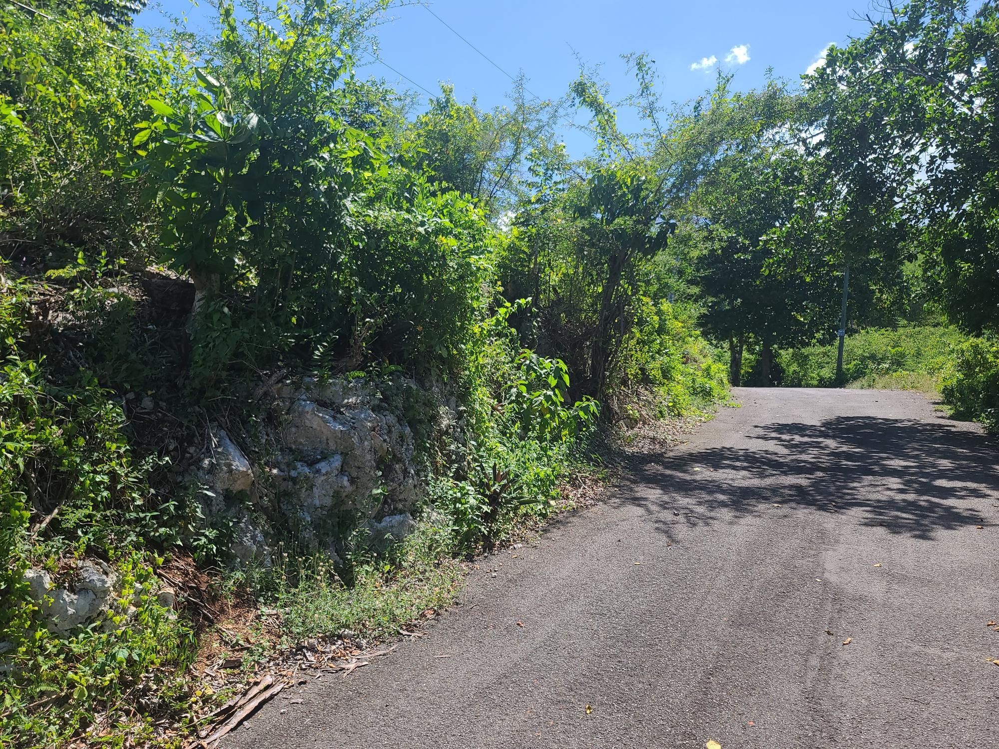 Property Image 19