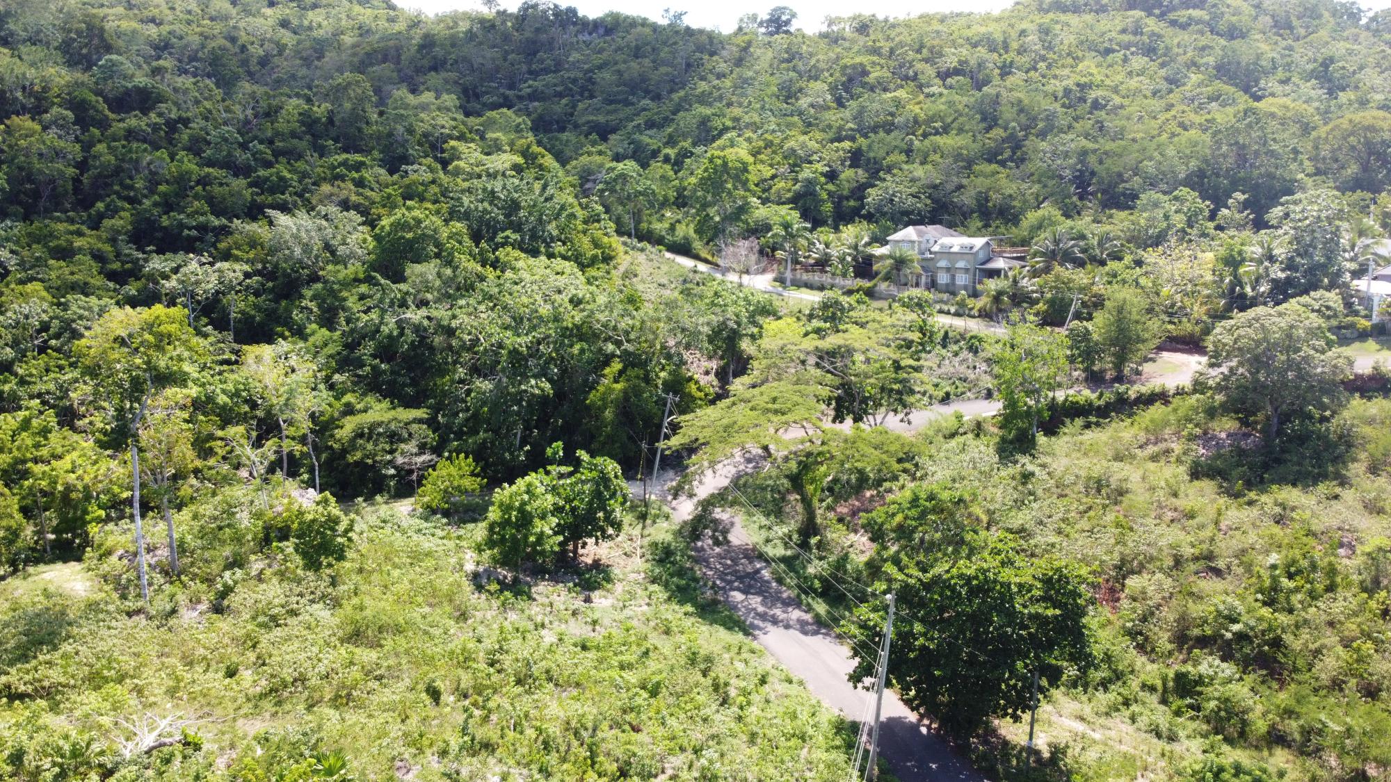 Property Image 38