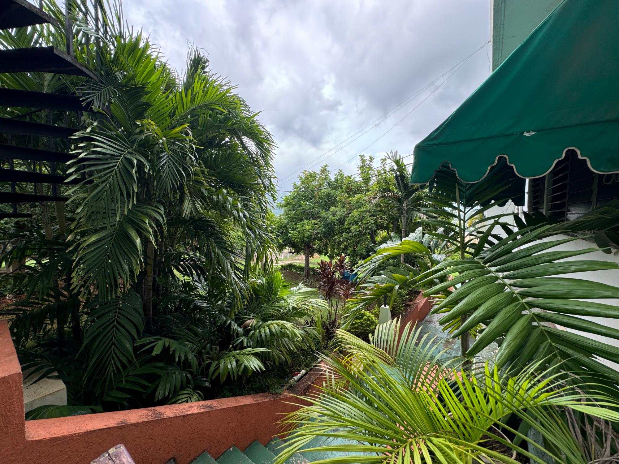 Photo Gallery 9A MAYFAIR AVENUE in Red Hills MLS ID 81886