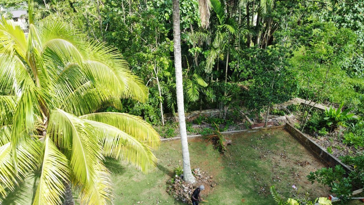 Property Image 74