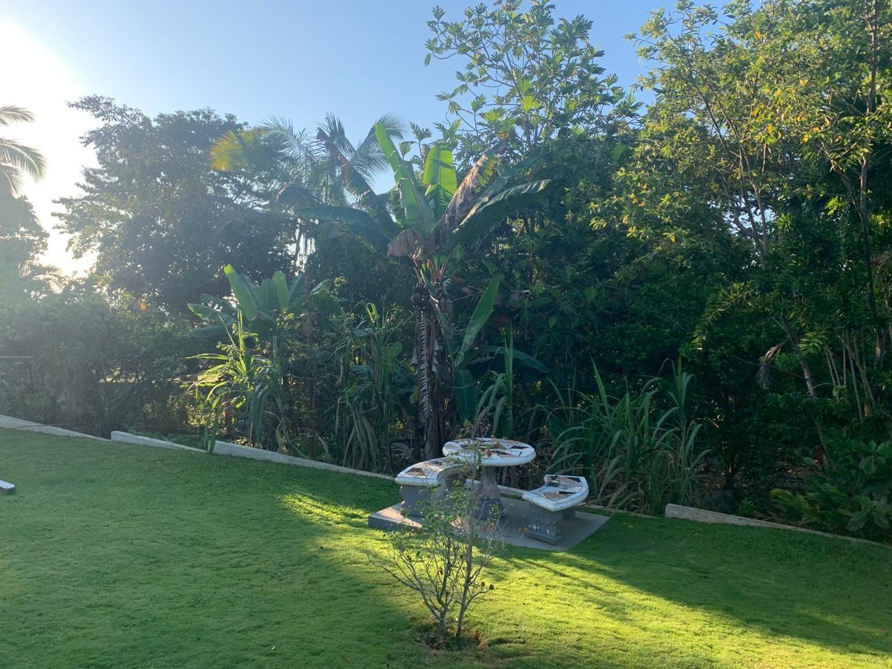 Property Image 82