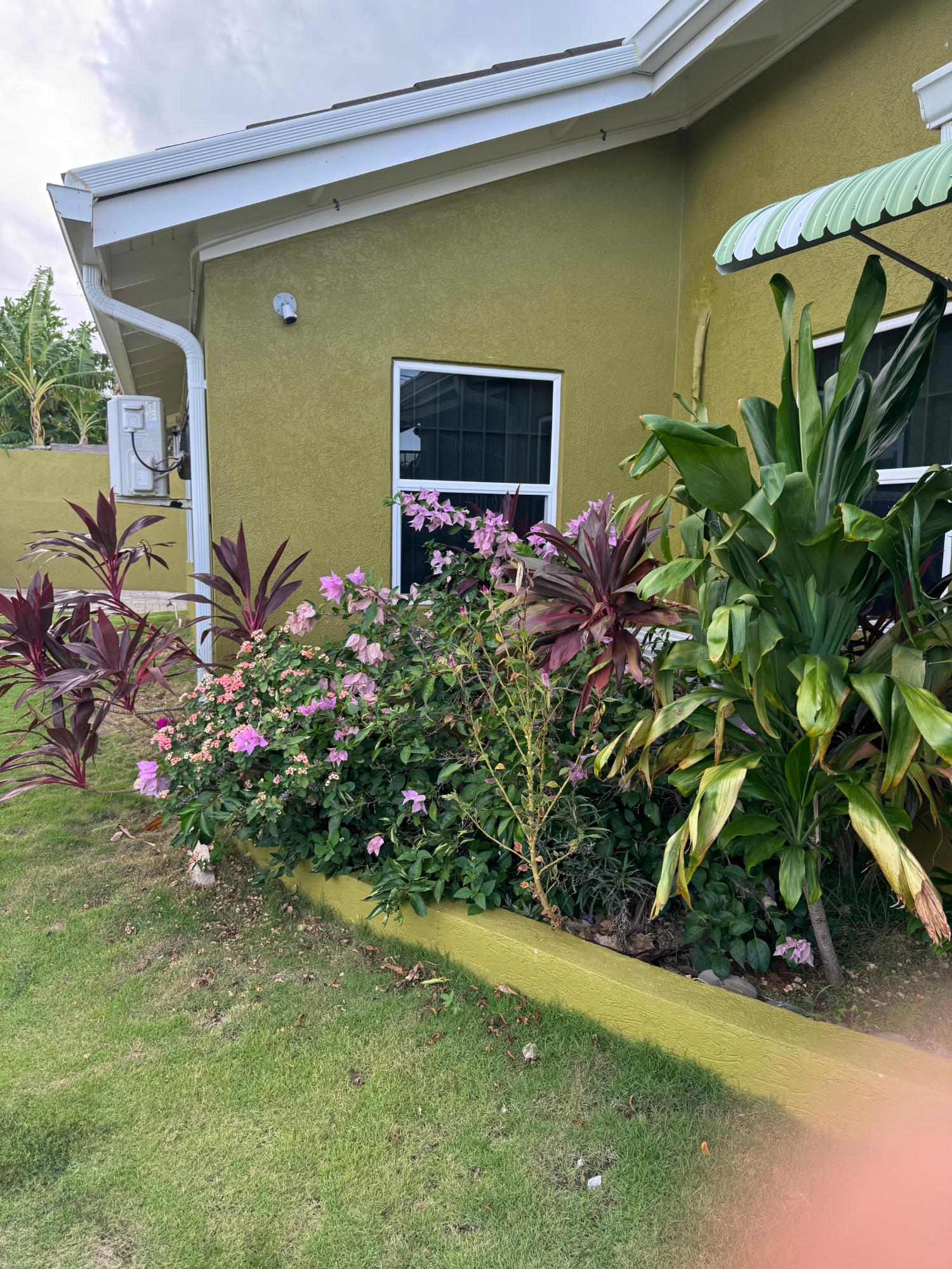 Property Image 44
