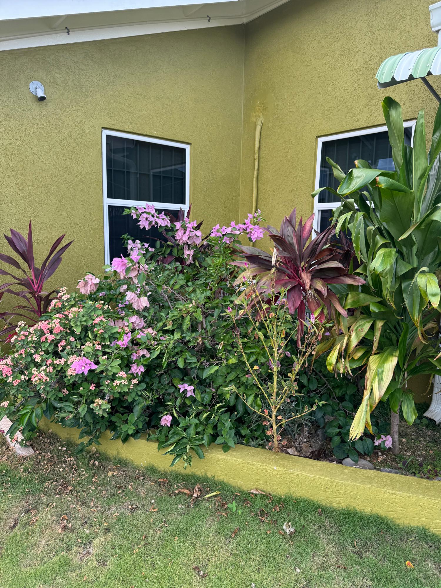 Property Image 45