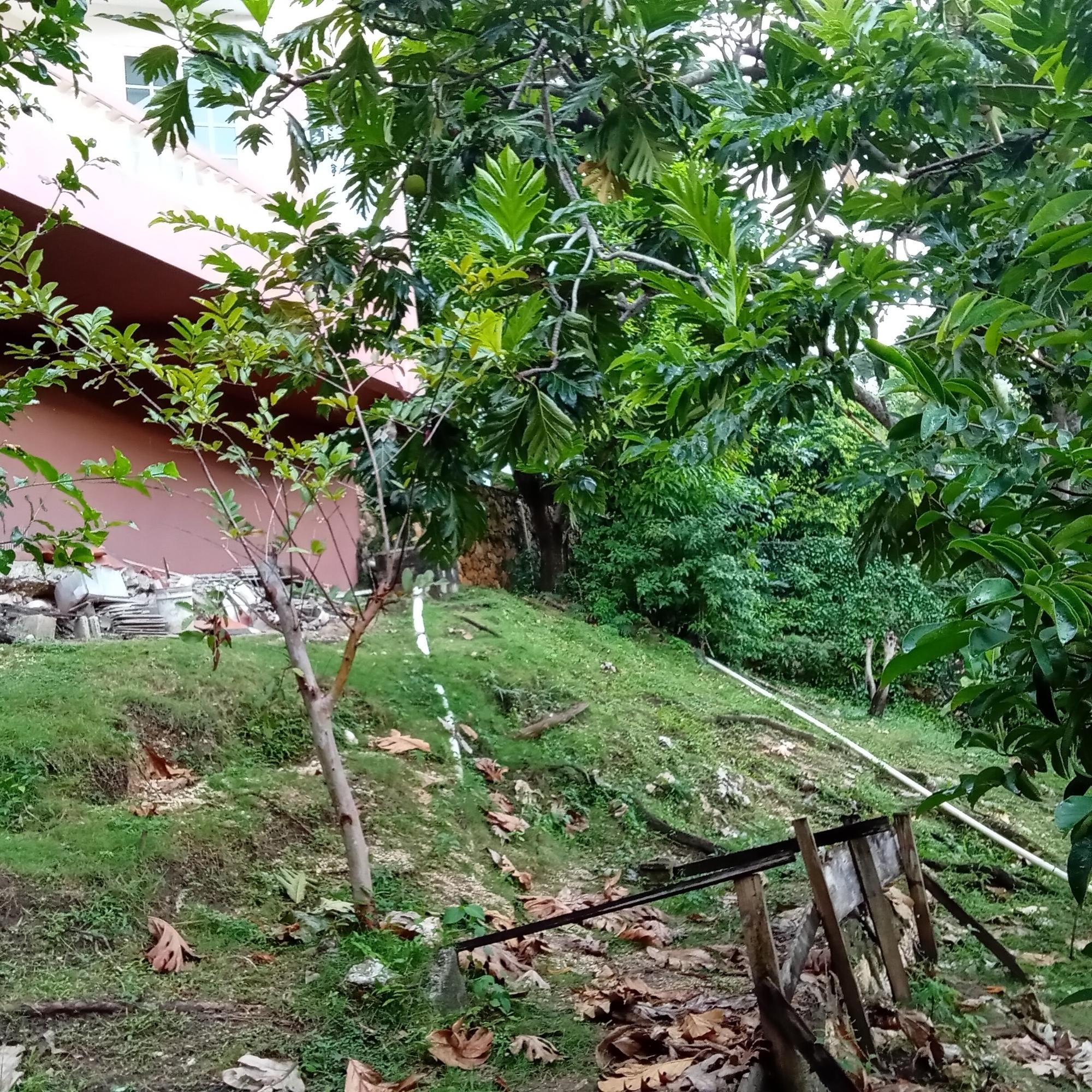 Property Image 21