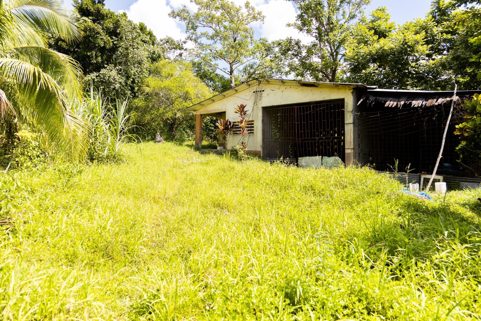 Property Image 7