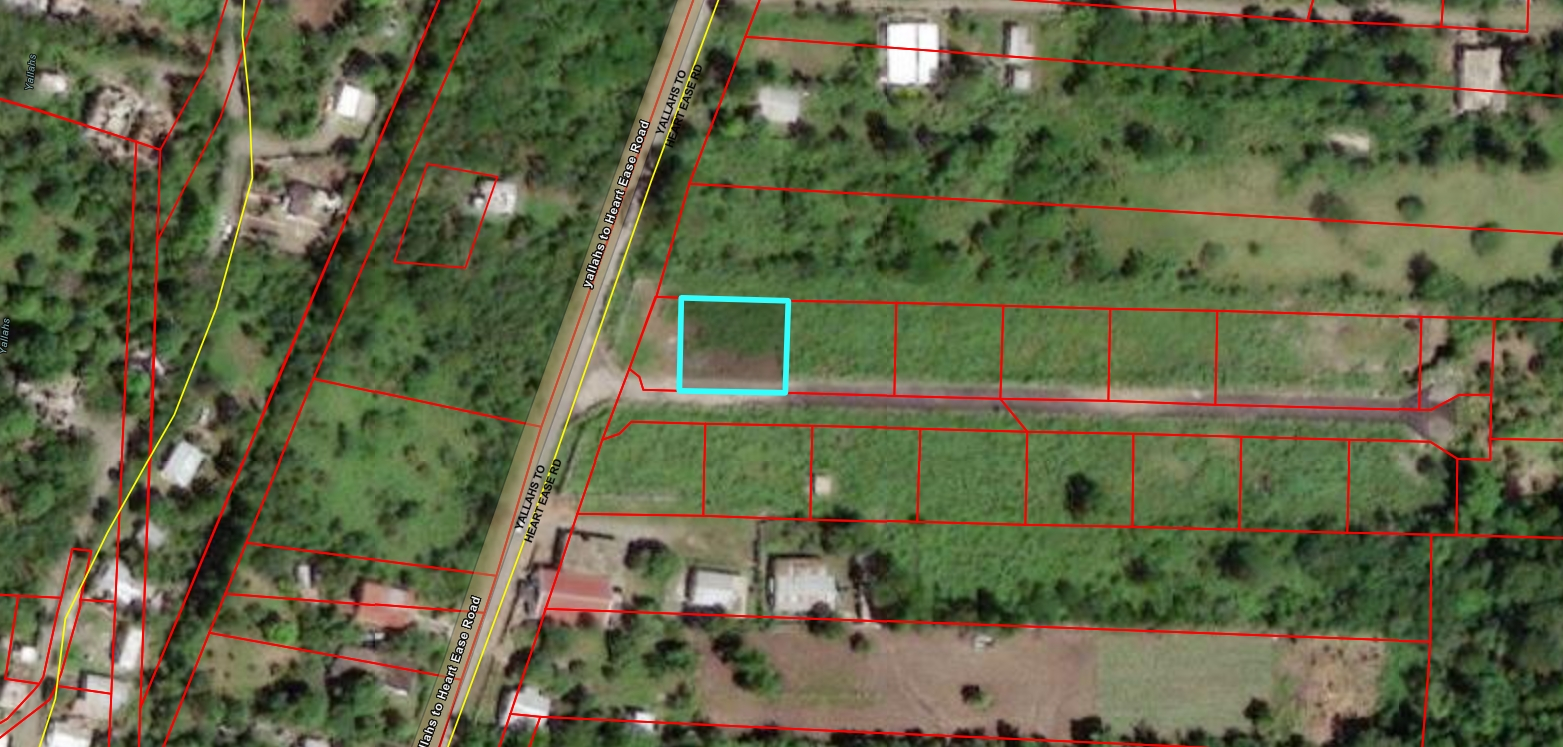 Property Image 6