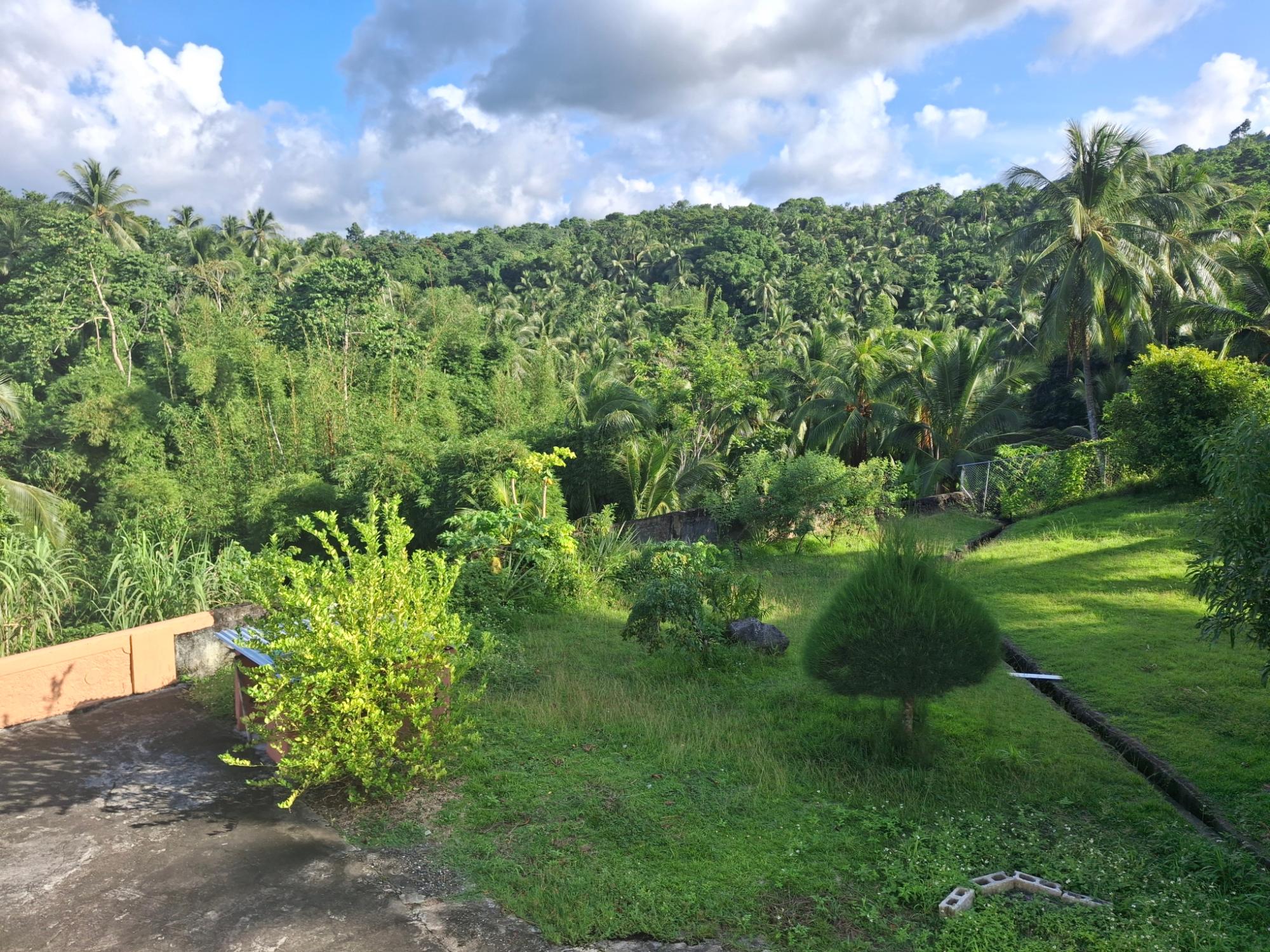 Property Image 67