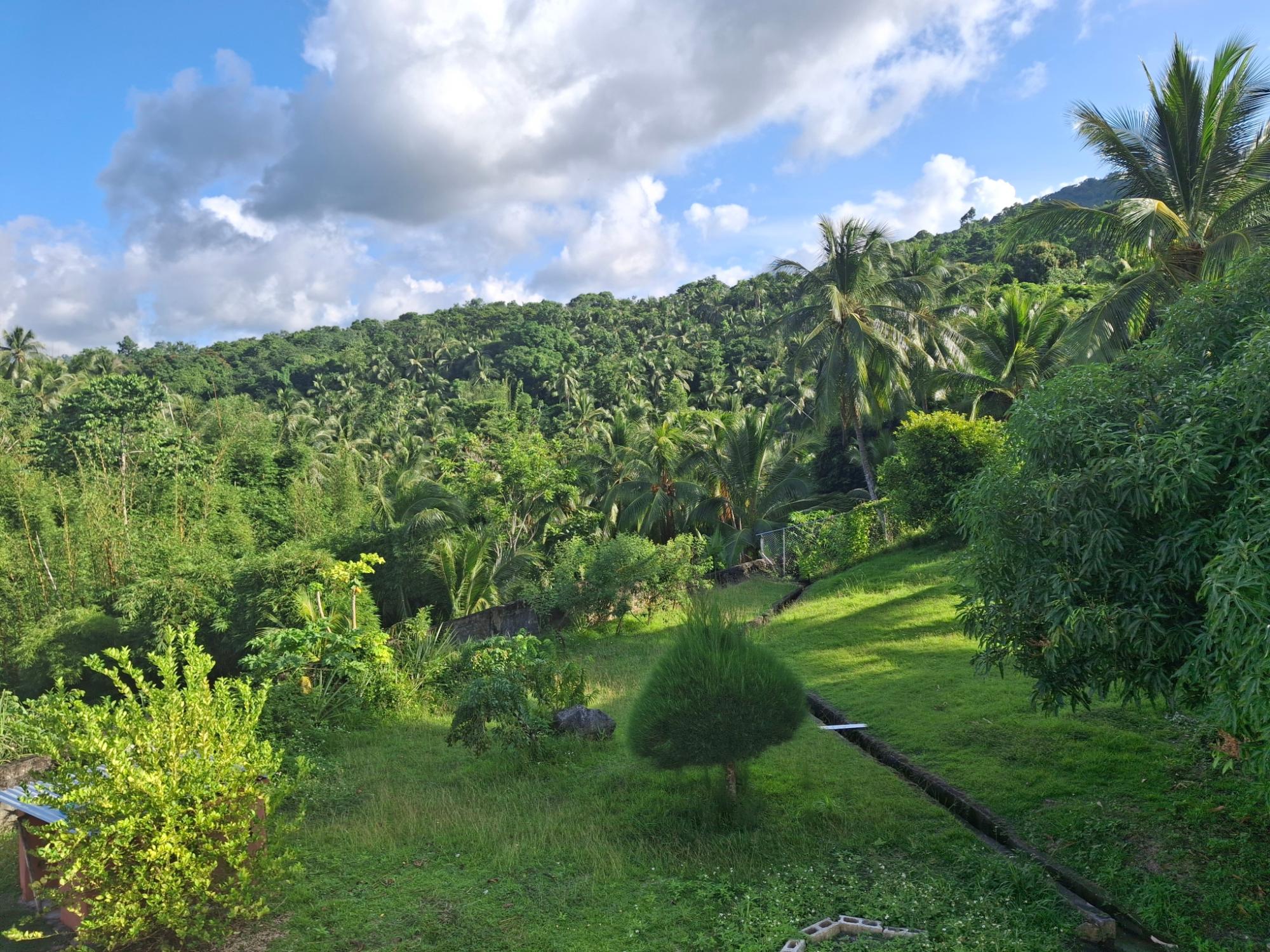 Property Image 63